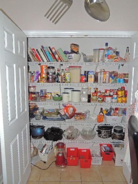 PALMETTO RIDGE - Residential