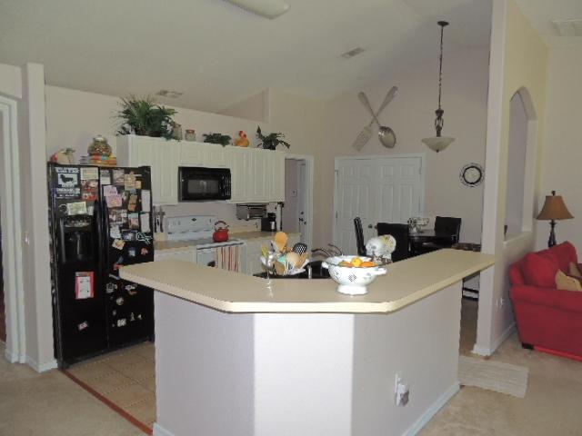 PALMETTO RIDGE - Residential