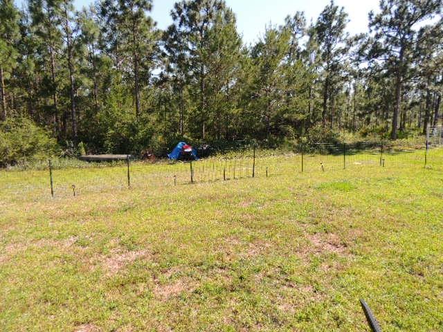 PALMETTO RIDGE - Residential