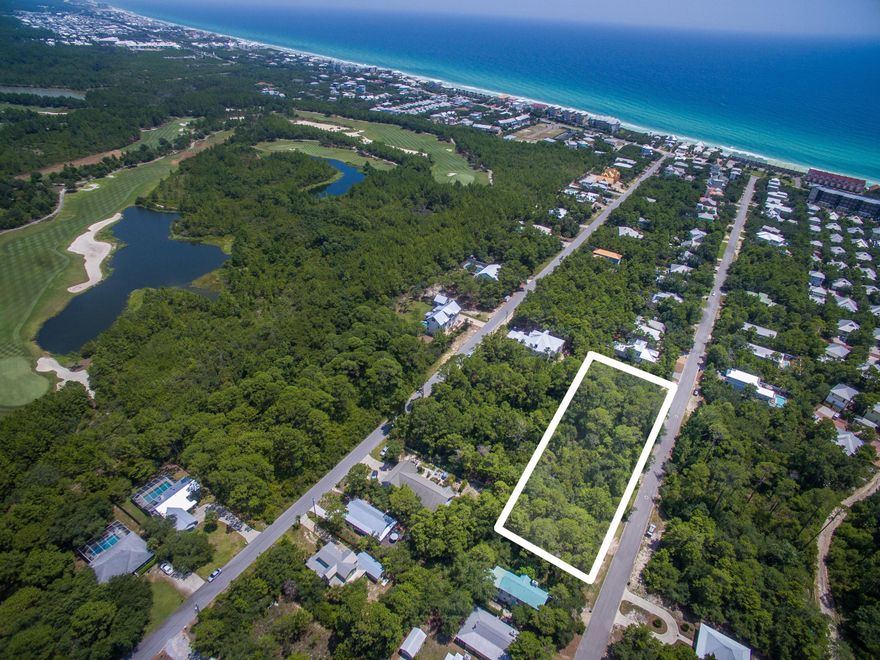 Great chance to own a private wooded homesite in the highly sought after subdivision of Whites GulfView Estates in Seacrest Beach. The lot borders a conservation easement/natural wetlands that creates a nice buffer on South side of lot. Deeded beach access with golf cart parking and there is no build-out time requirement, allowing lot owners to build at their leisure. Enjoy dining and shopping in the nearby communities of Alys & Rosemary Beach which are a short bike ride to the east.