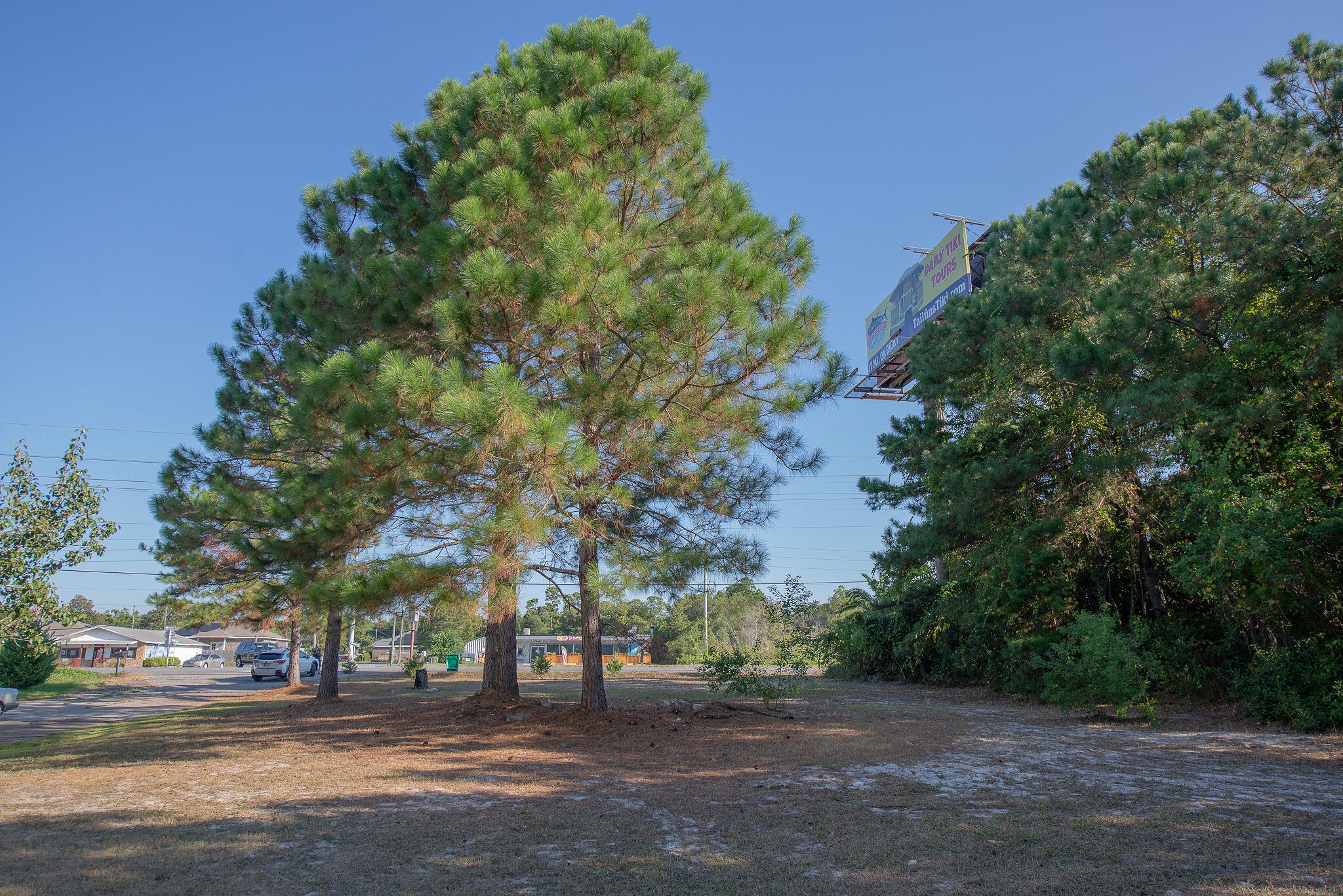 WYNNEHAVEN BEACH ESTATES - Land