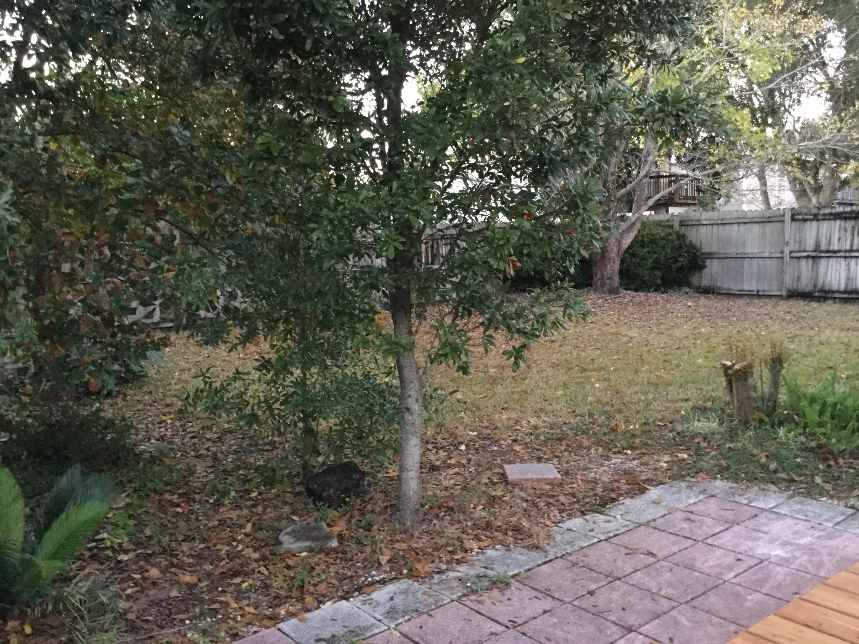 RUSH PARK WEST S/D - Residential