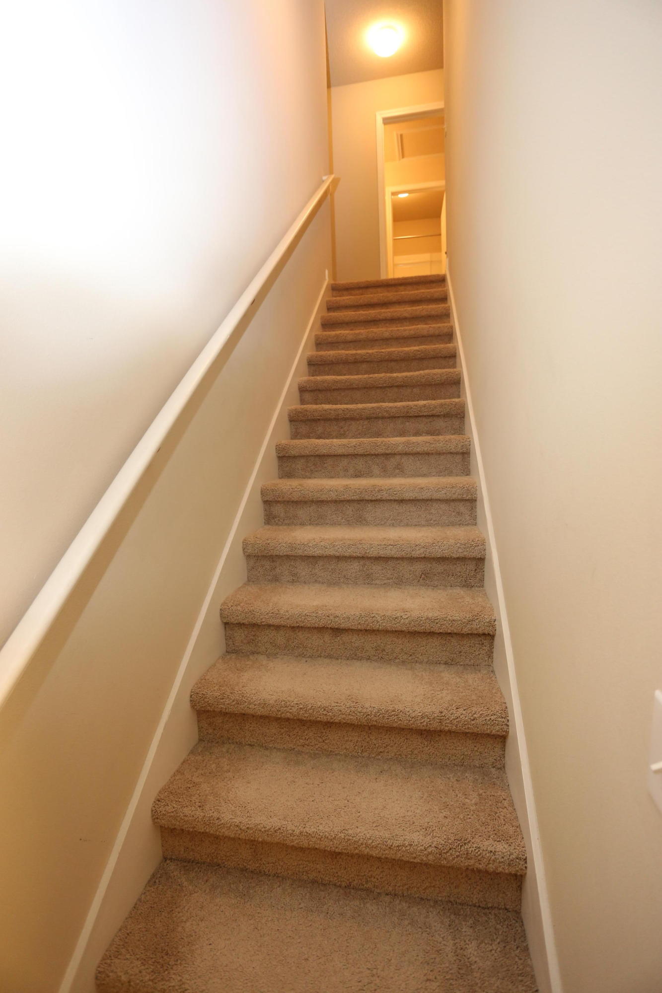 HAMMOCK BAY - Residential Lease