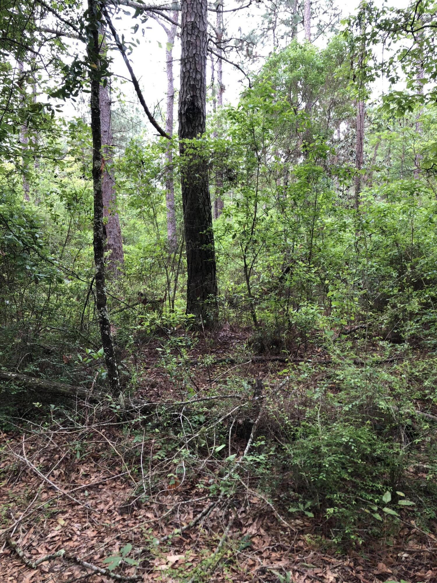 Metes and Bounds - Farm