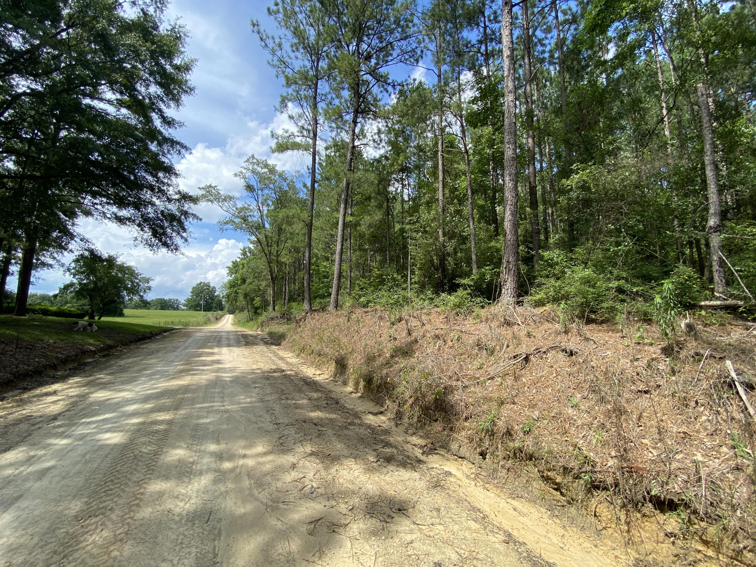 Metes and Bounds - Farm