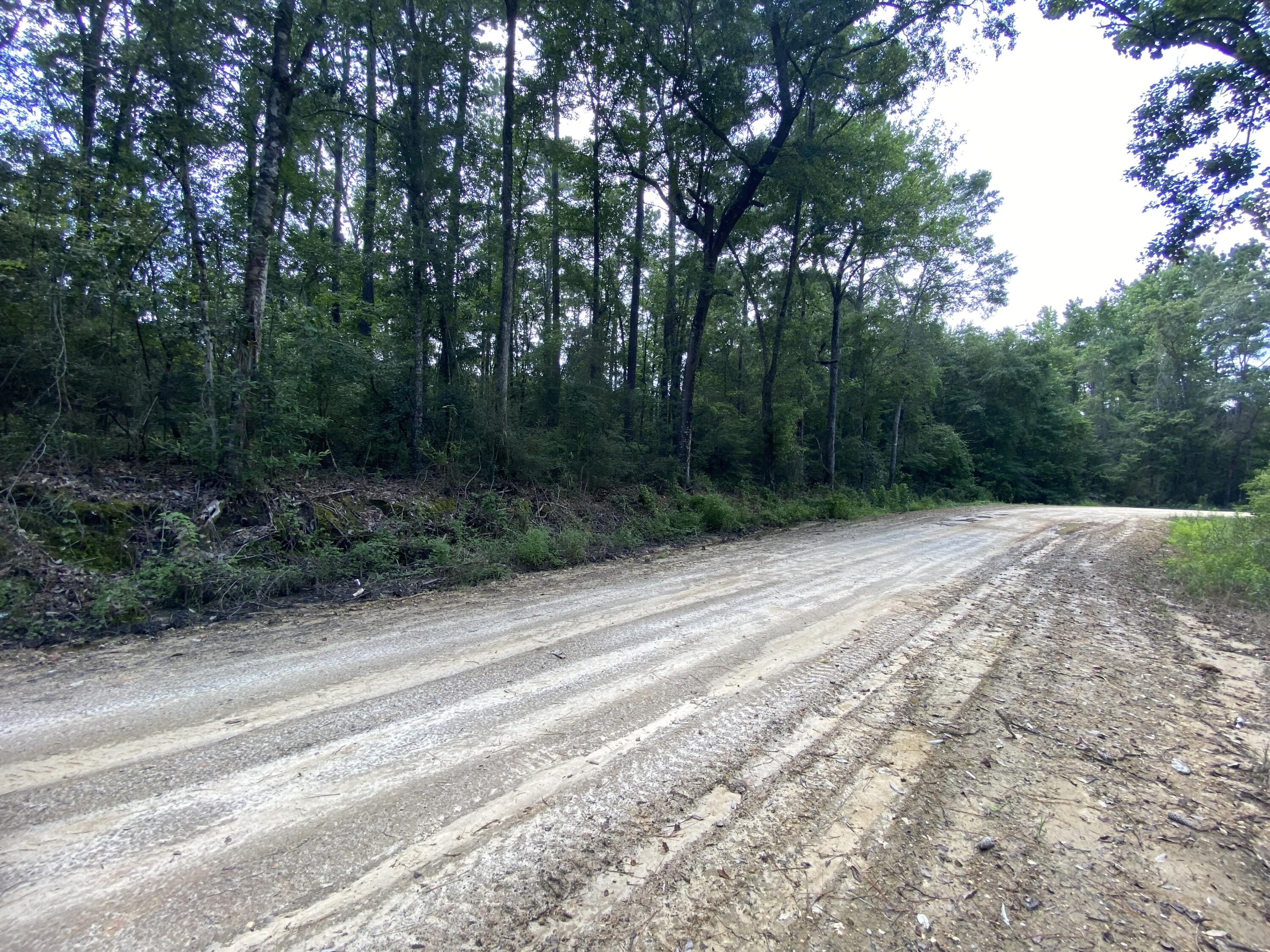 Metes and Bounds - Farm