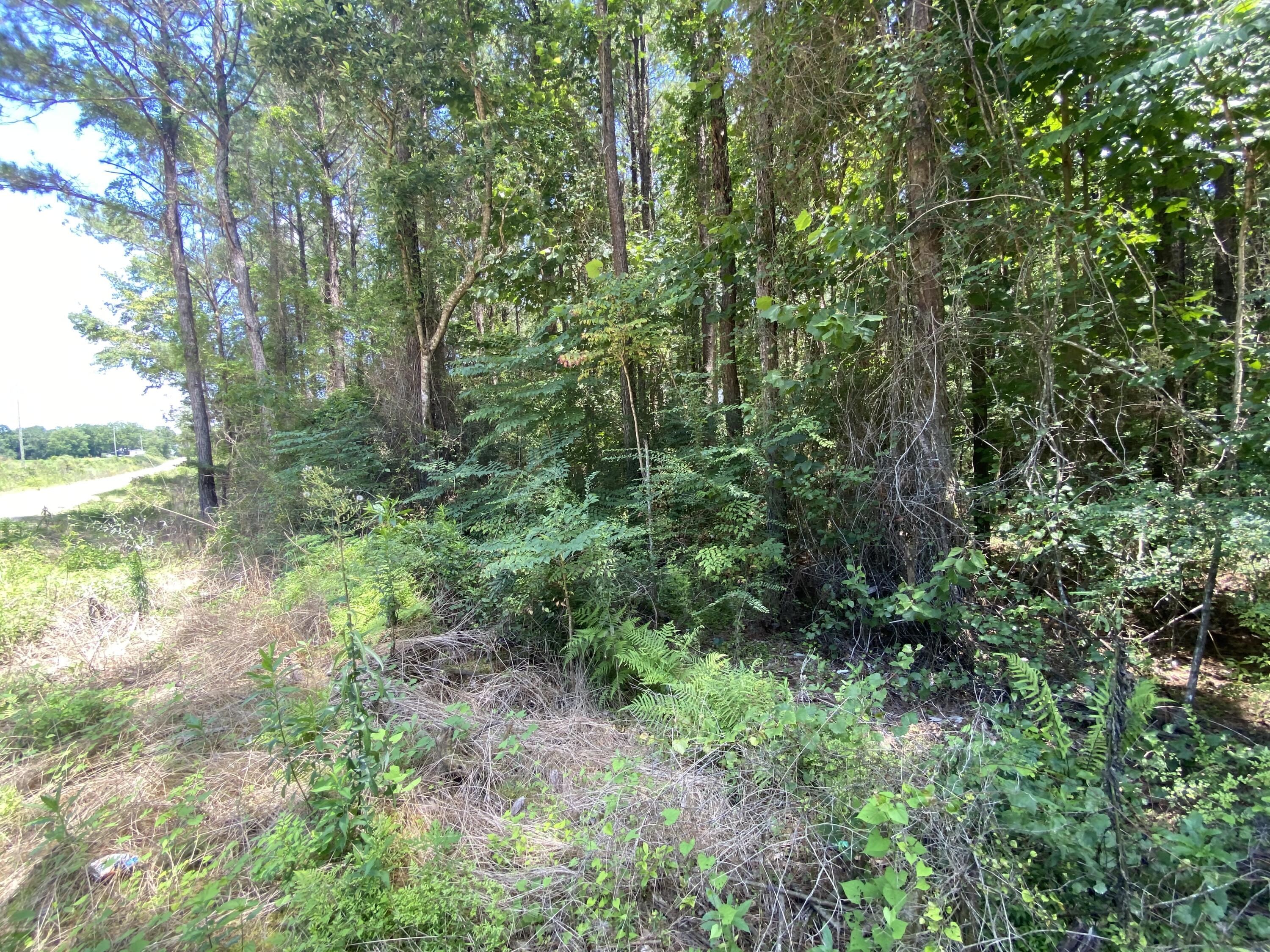 Metes and Bounds - Farm