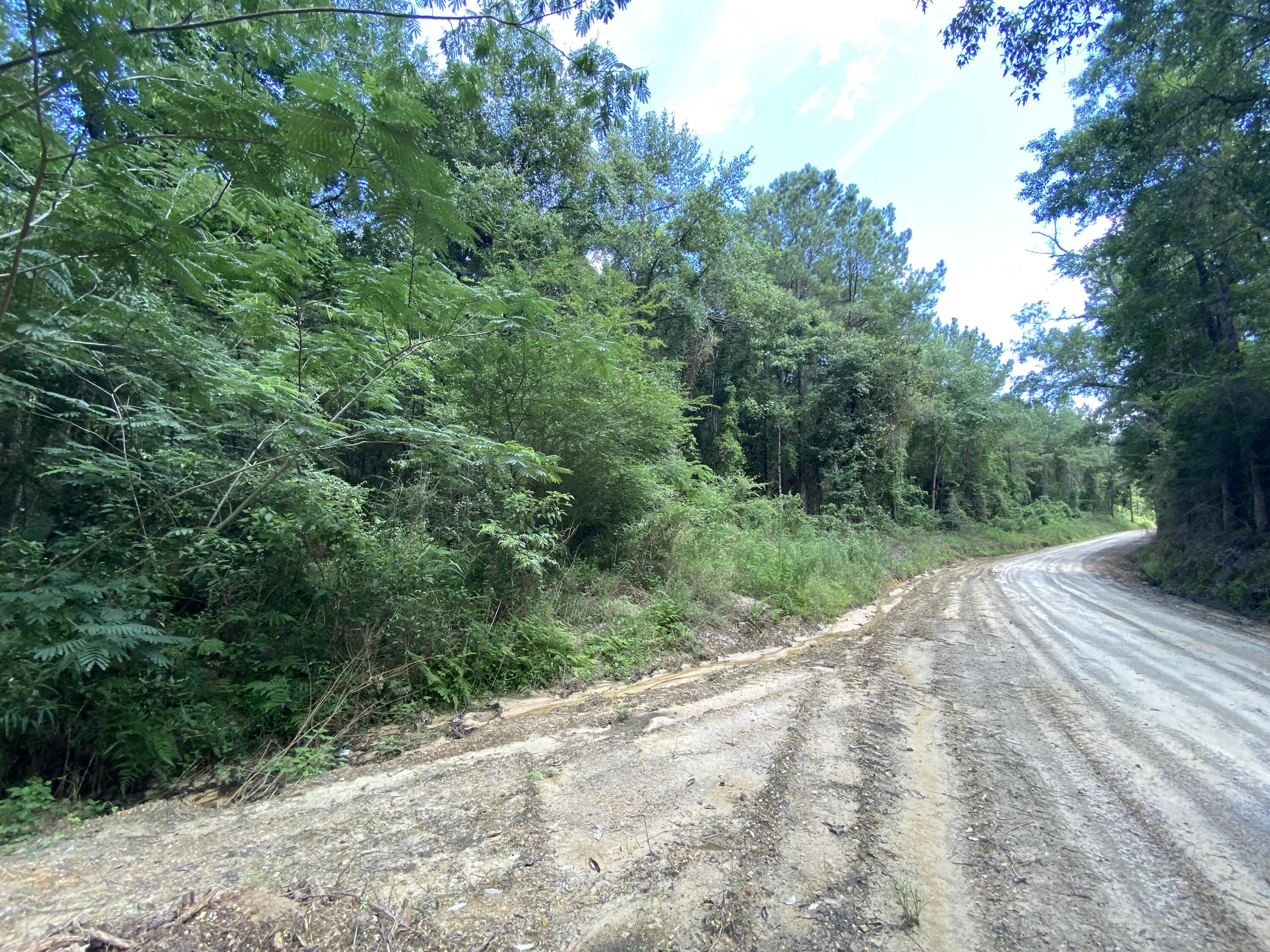 Metes and Bounds - Farm