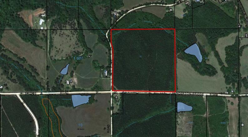 40Acres of beautiful land! Wooded land that could be cleared and turned into a beautiful home site. Bring your build plans, Bring your horses, Bring your atvs! Lets enjoy some quiet country living.