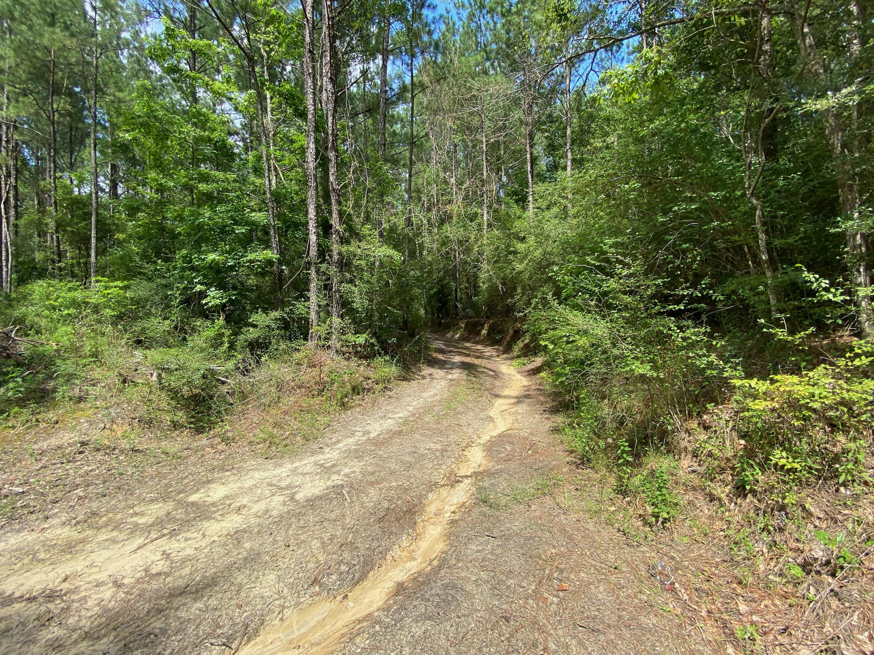 Metes and Bounds - Farm