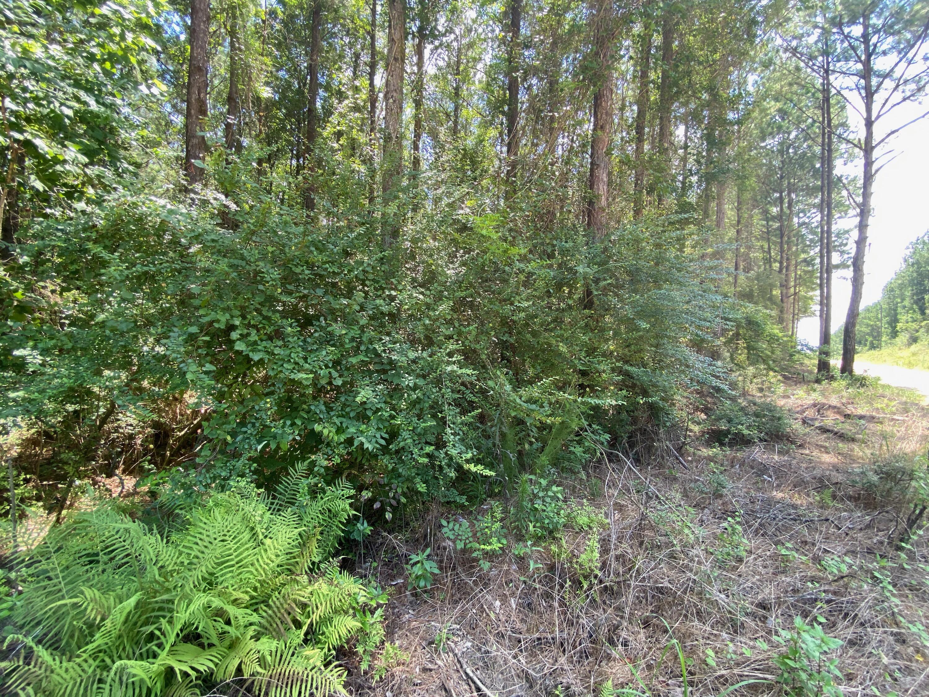 Metes and Bounds - Farm