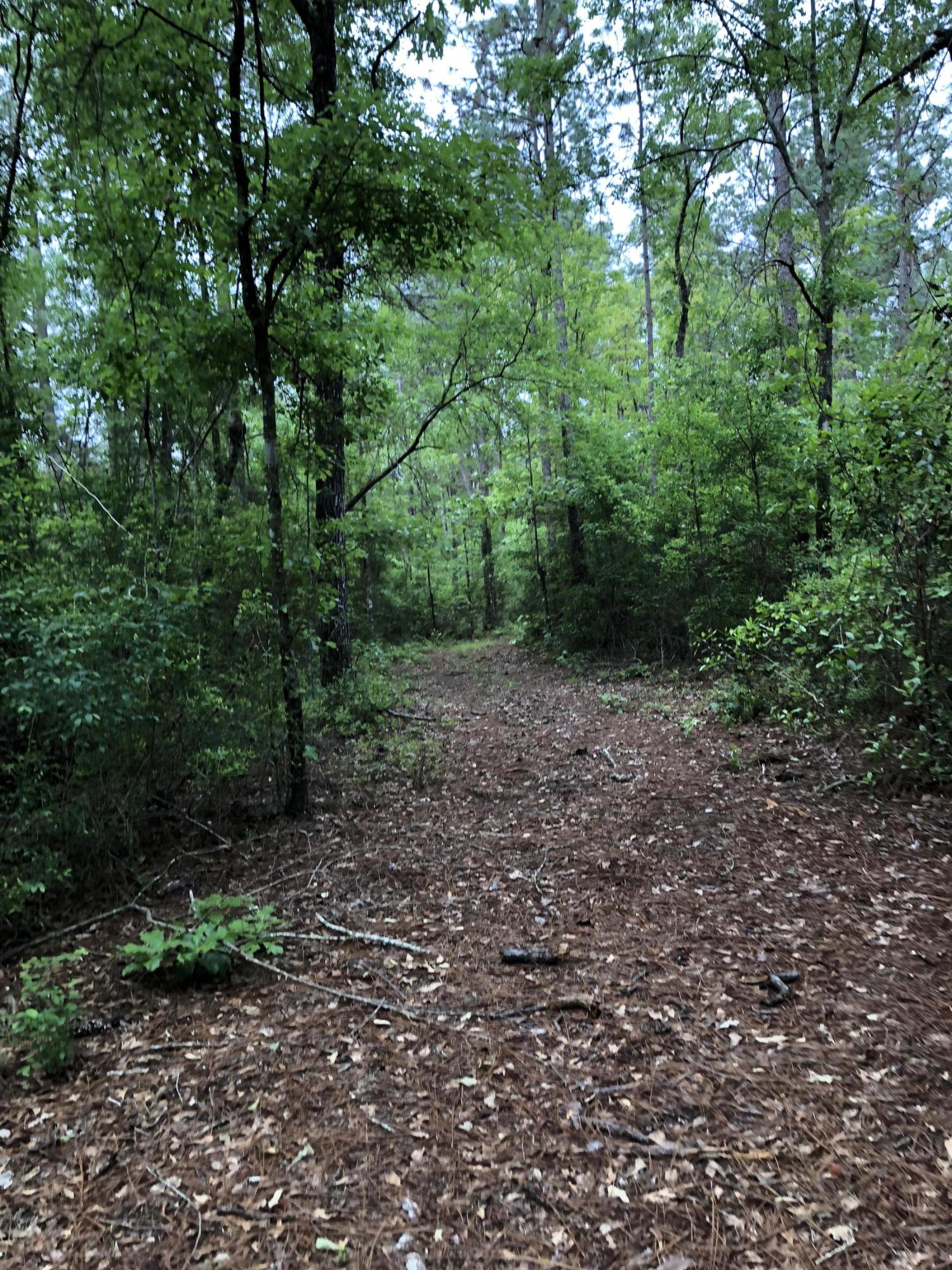 Metes and Bounds - Farm