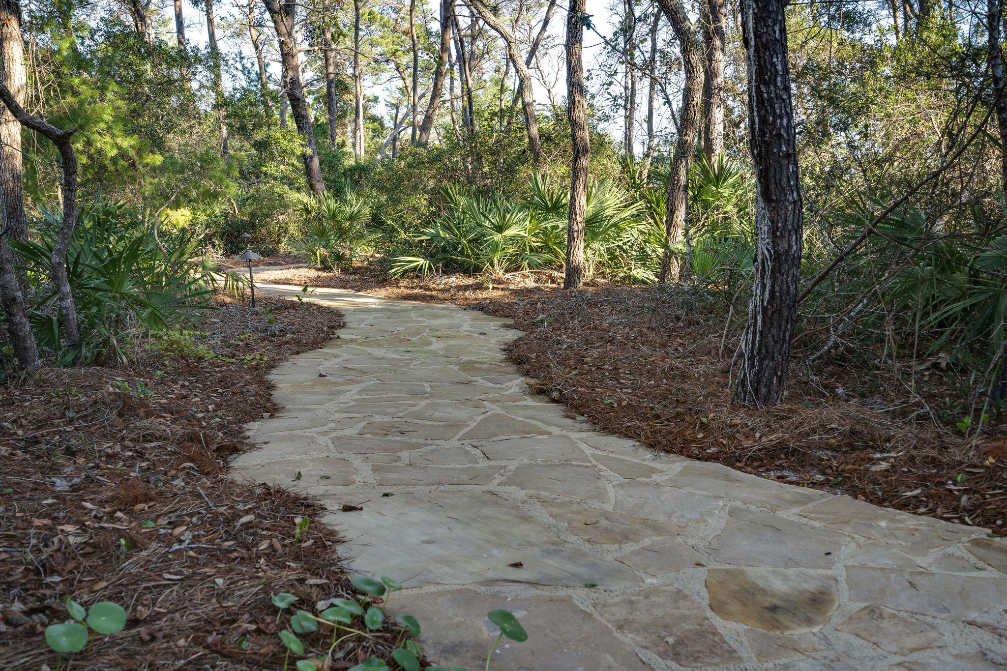 Costa Carina - Residential