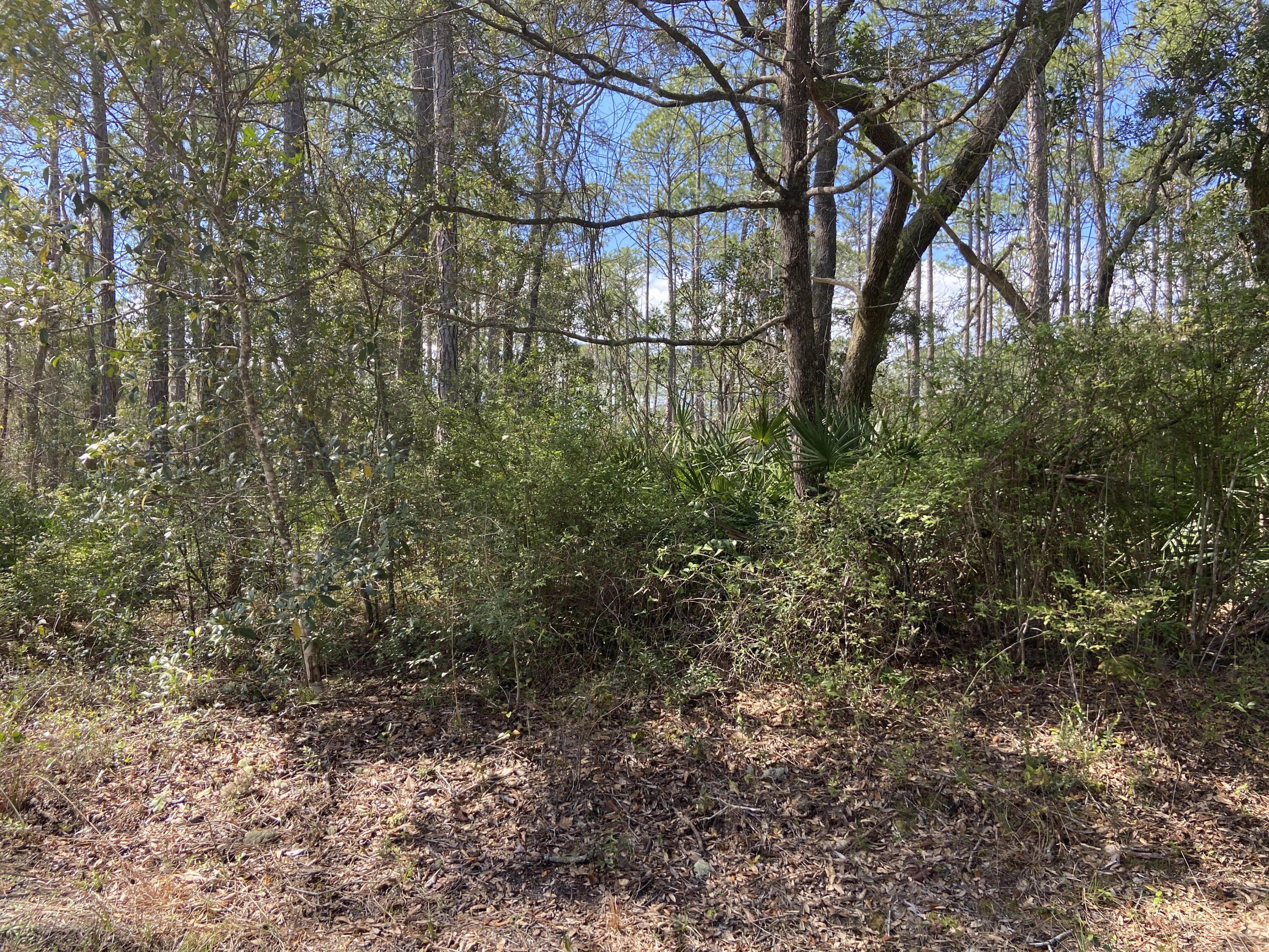 CROSS CREEK SHORES - Land