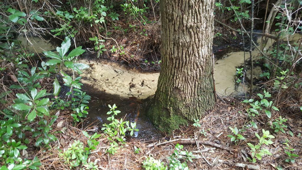 WOODRIDGE PH 1 - Residential