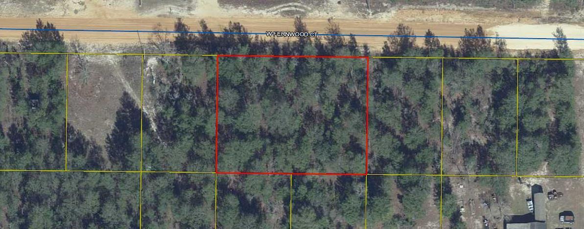 2 adjoining wooded lots located West of DeFuniak Springs near the Mossy Head Community. Easy access to I-10 and Hwy 285. Lots are being sold together. Public water is available to the lots.