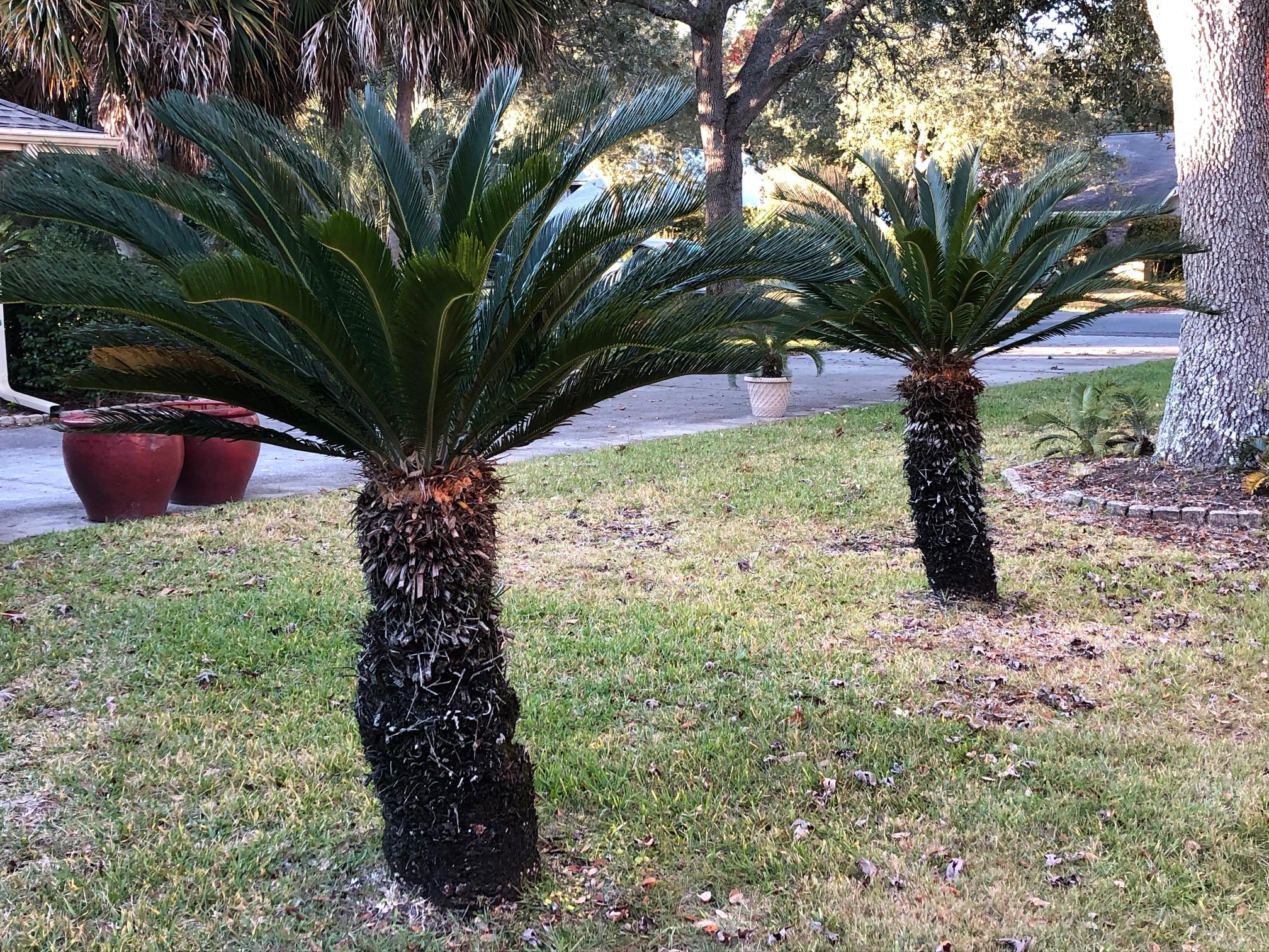 Raintree Estates - Residential