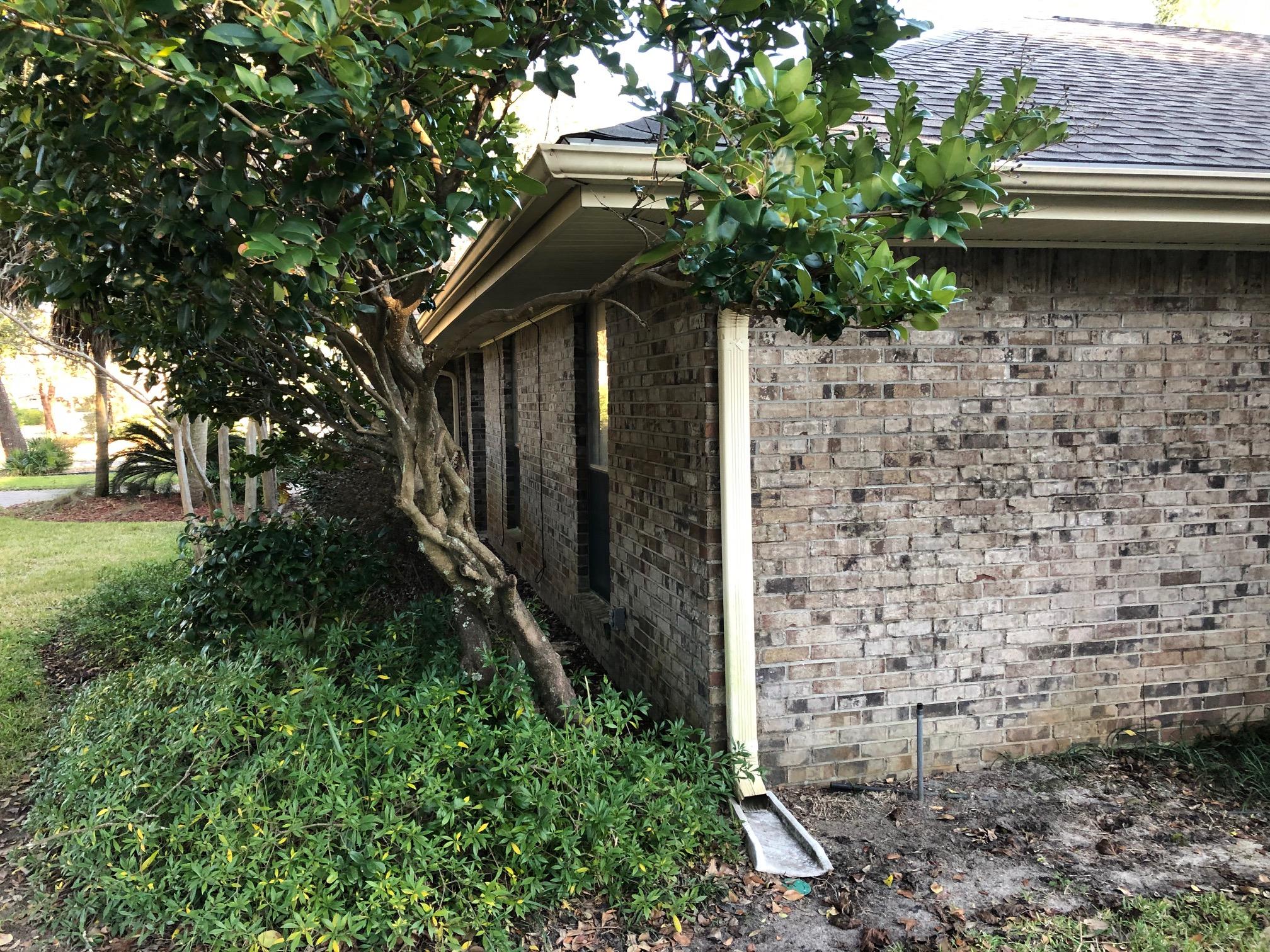 Raintree Estates - Residential