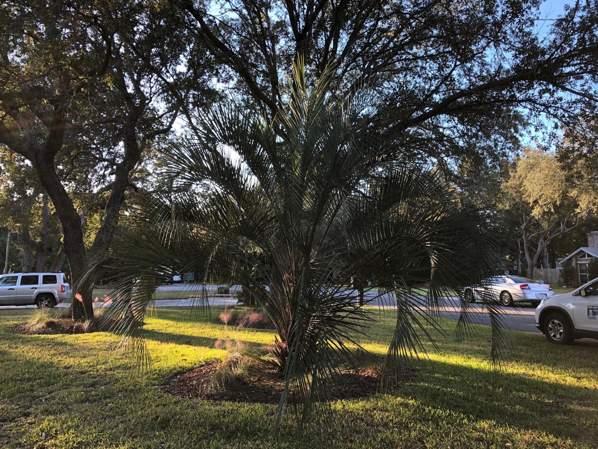 Raintree Estates - Residential