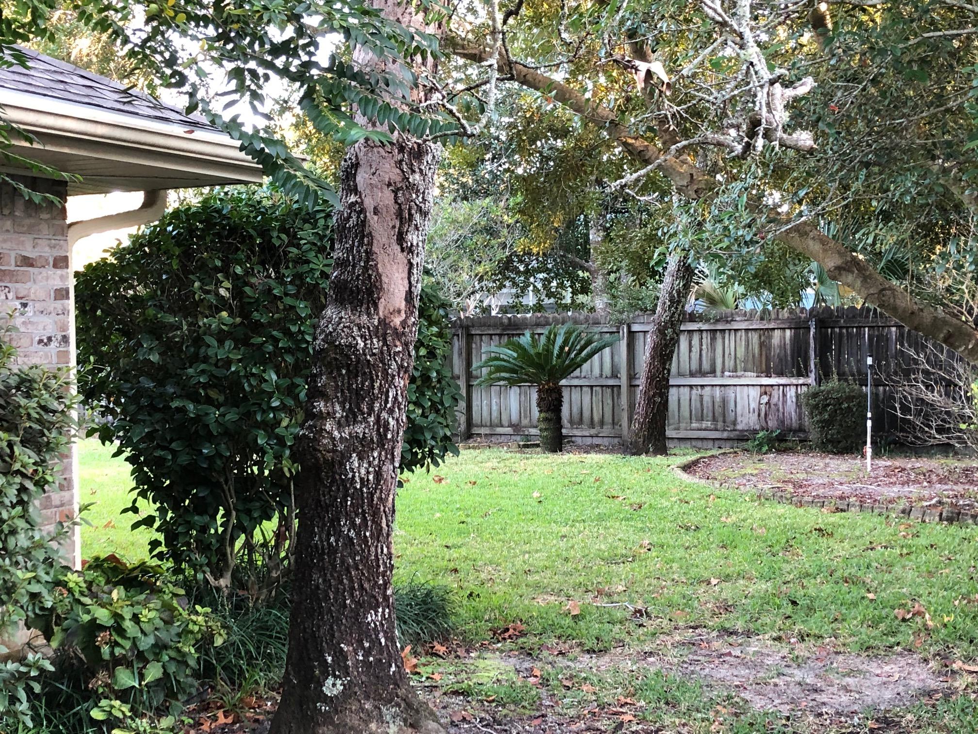 Raintree Estates - Residential