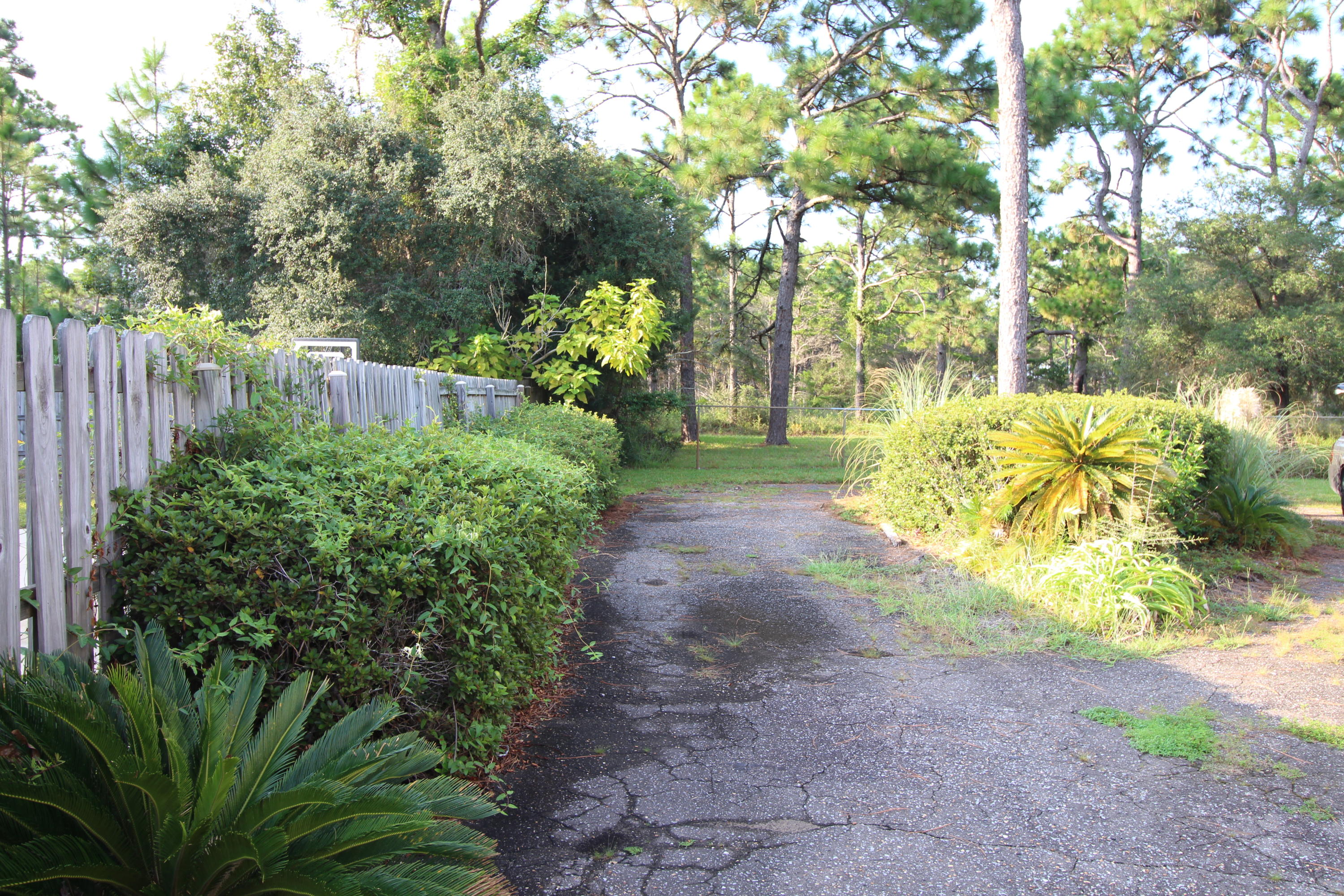 Shangrila - Residential