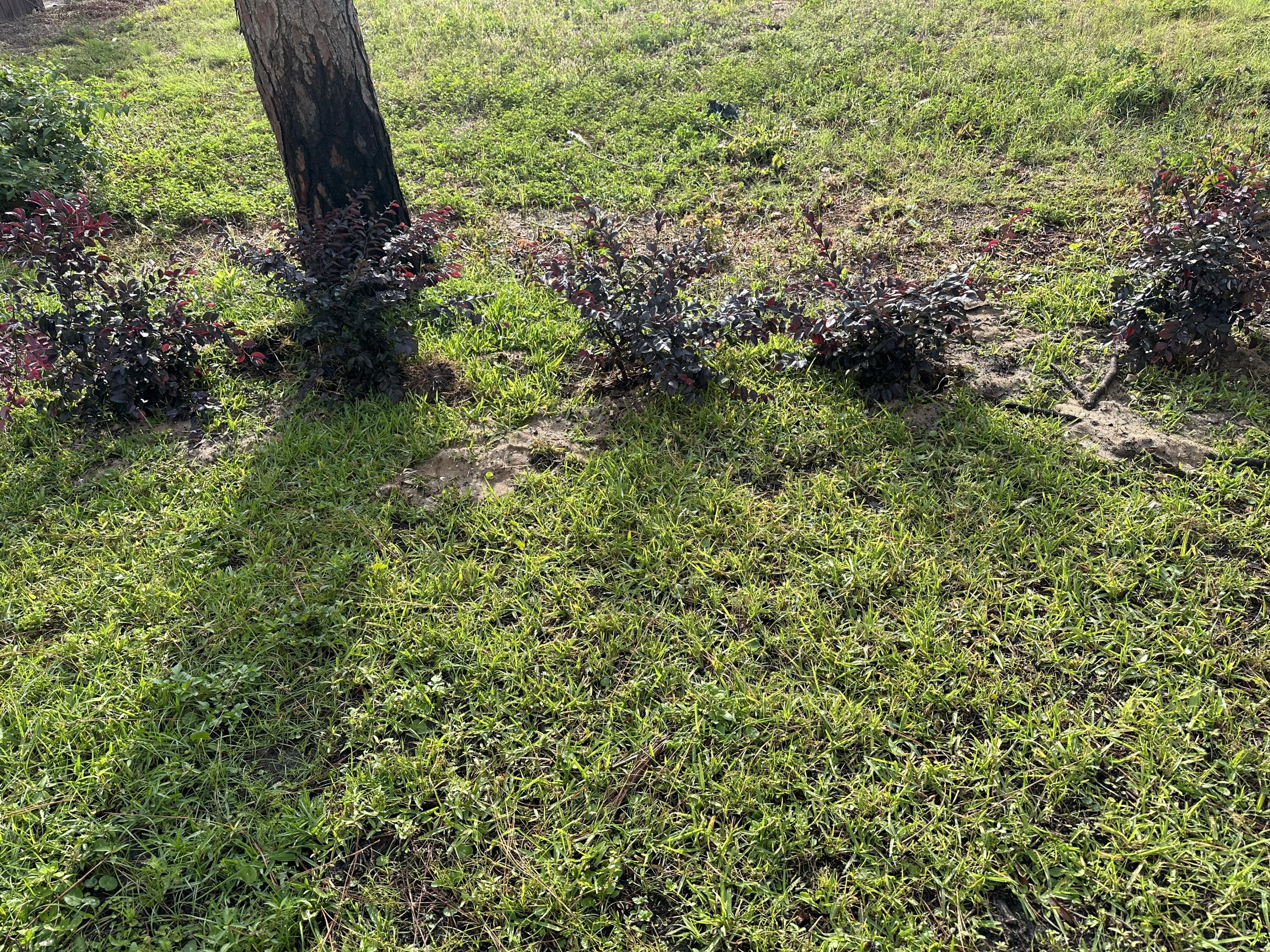 CALUSA BAY S/D - Residential Lease