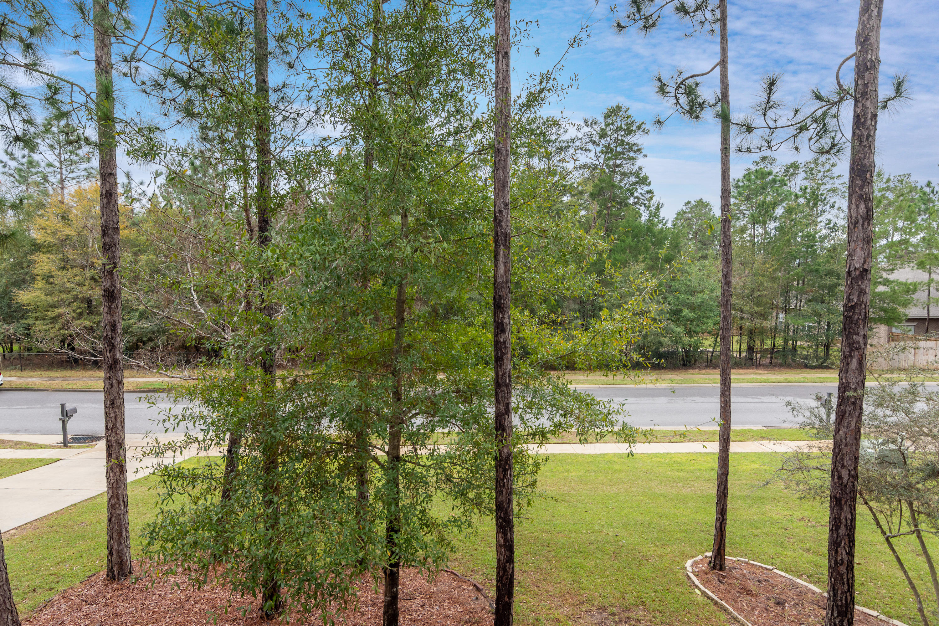 CAMELLIA COVE - Residential