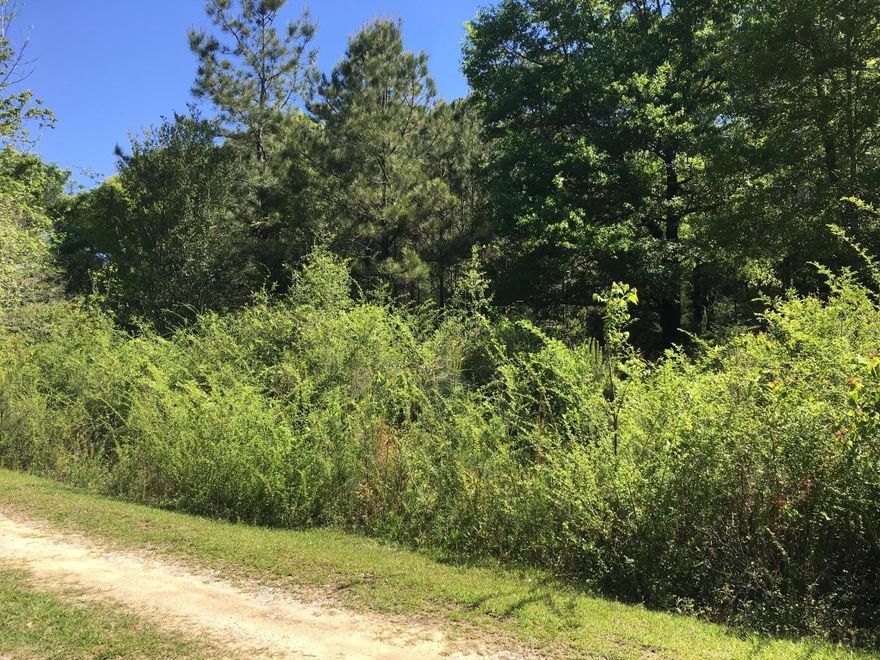 Great opportunity to own 14 lots close to Laurel Hill School. Zoned Mixed Use. Had a Mobile Home Park there at one time.