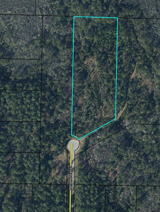 Cypress Crossing - Land