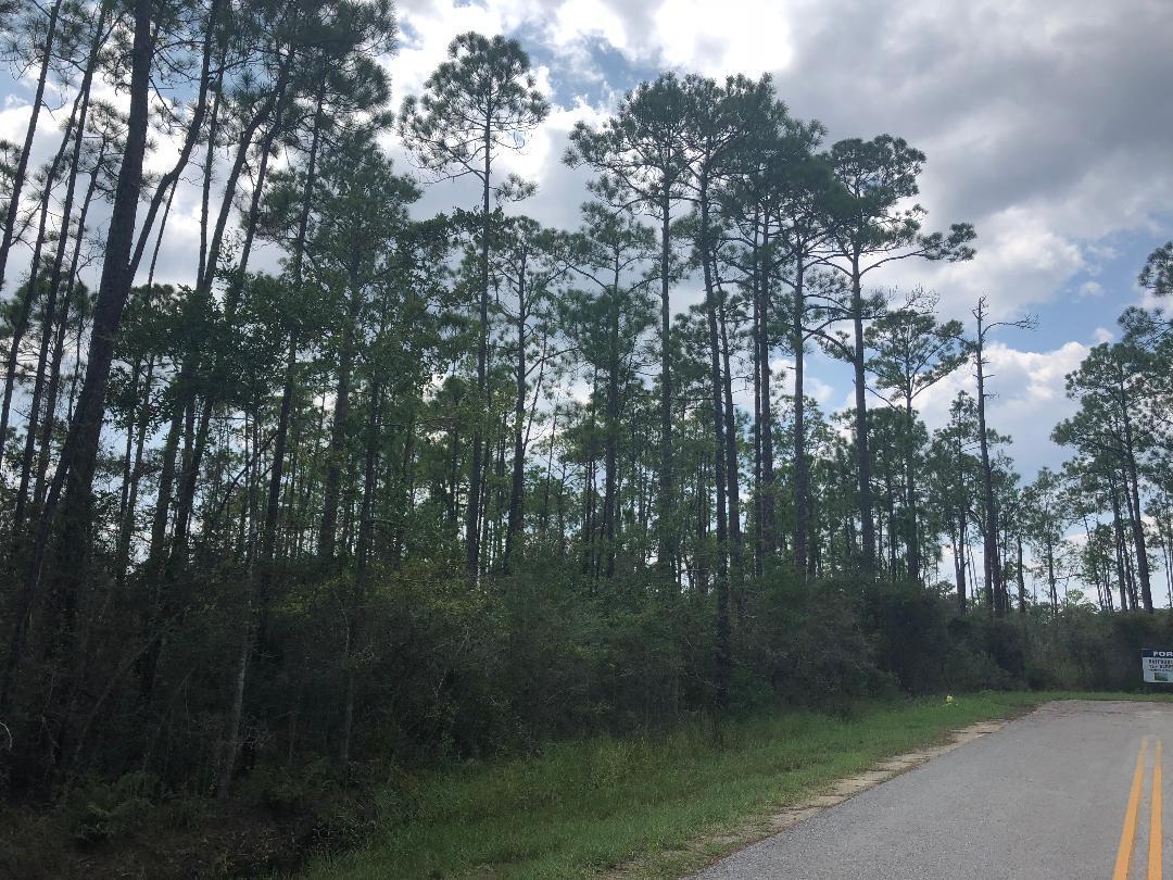 Whispering Pines - Land