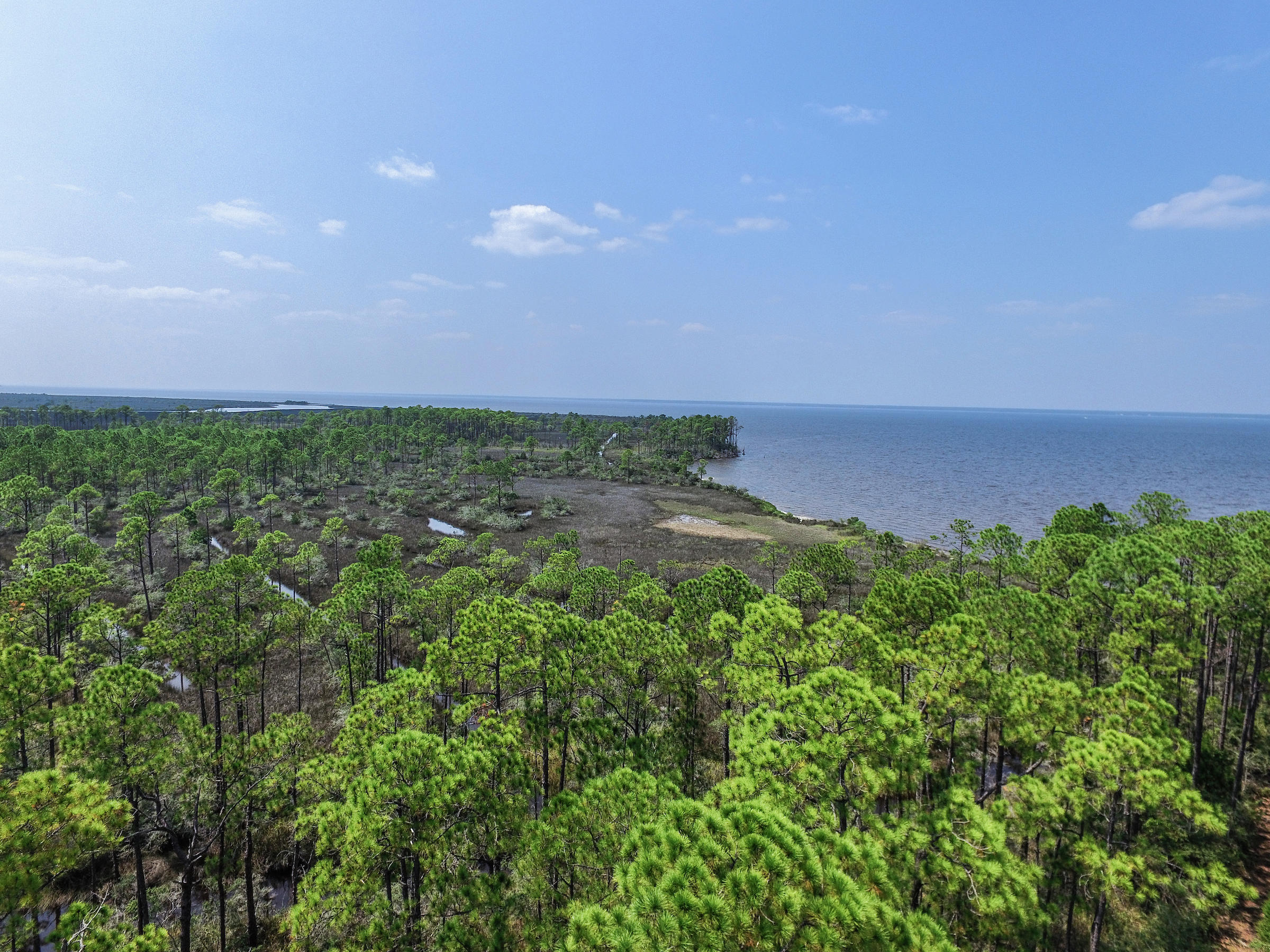 Whispering Pines - Land