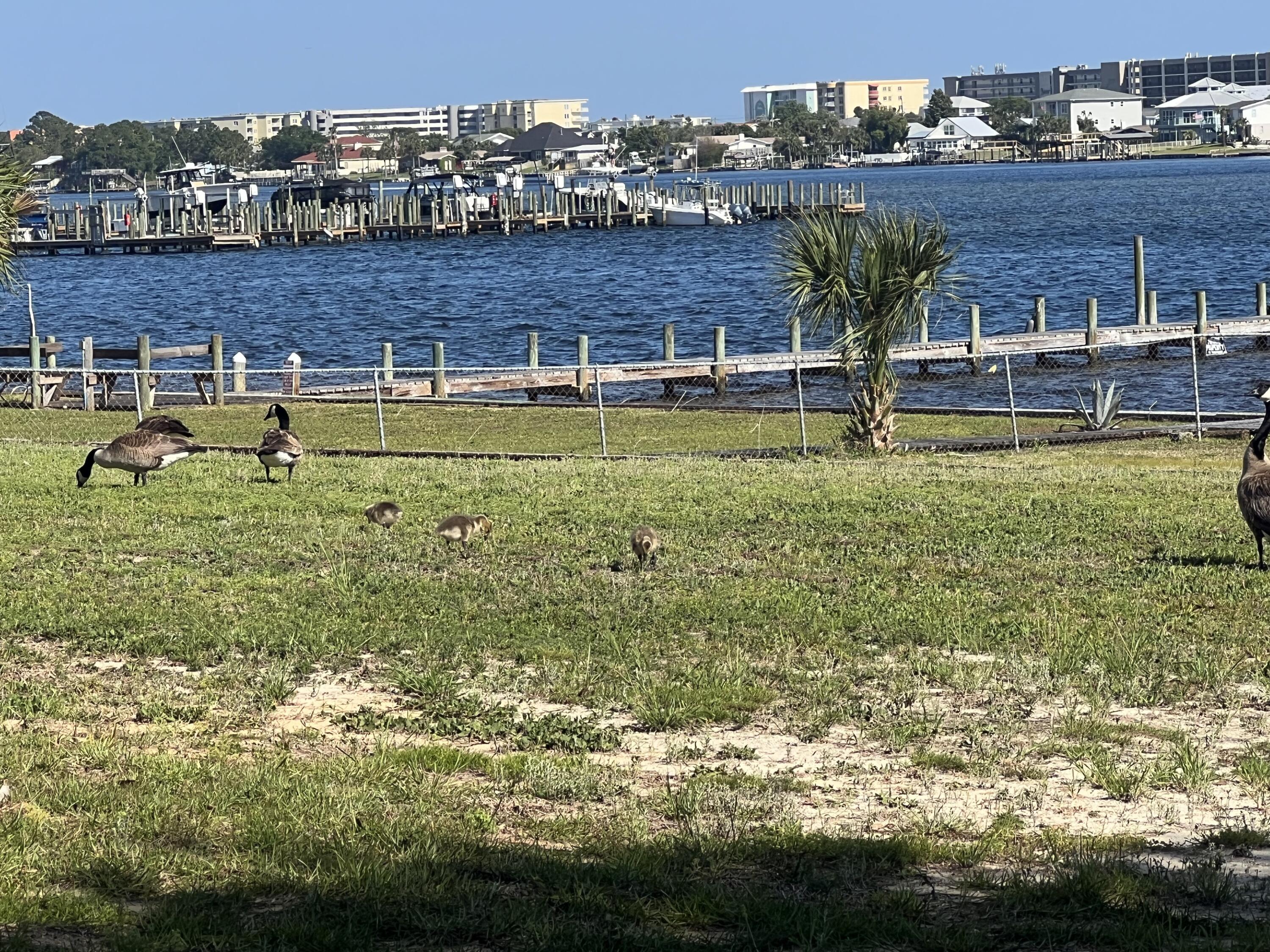 SEA PALM CONDO - Residential