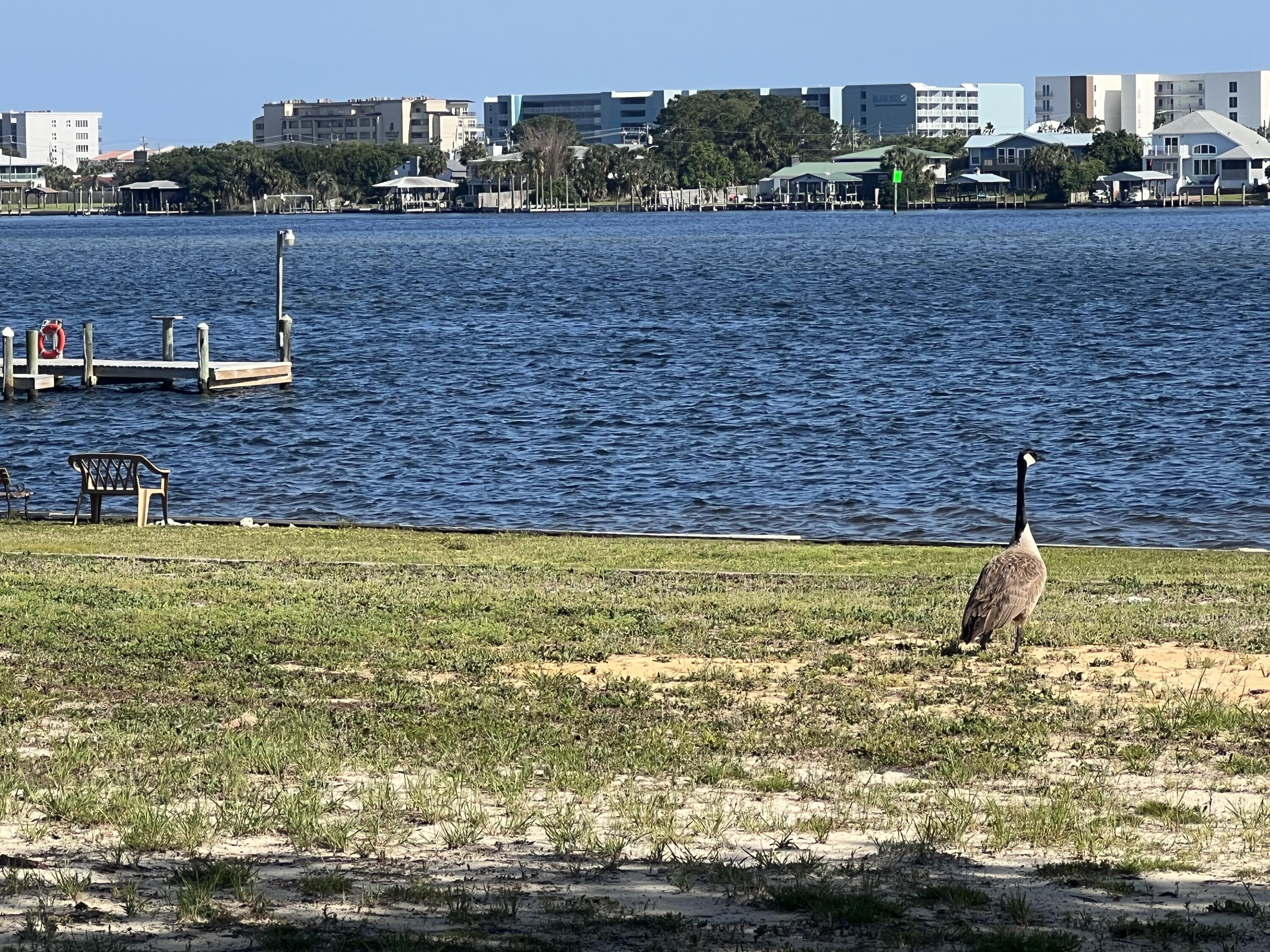 SEA PALM CONDO - Residential