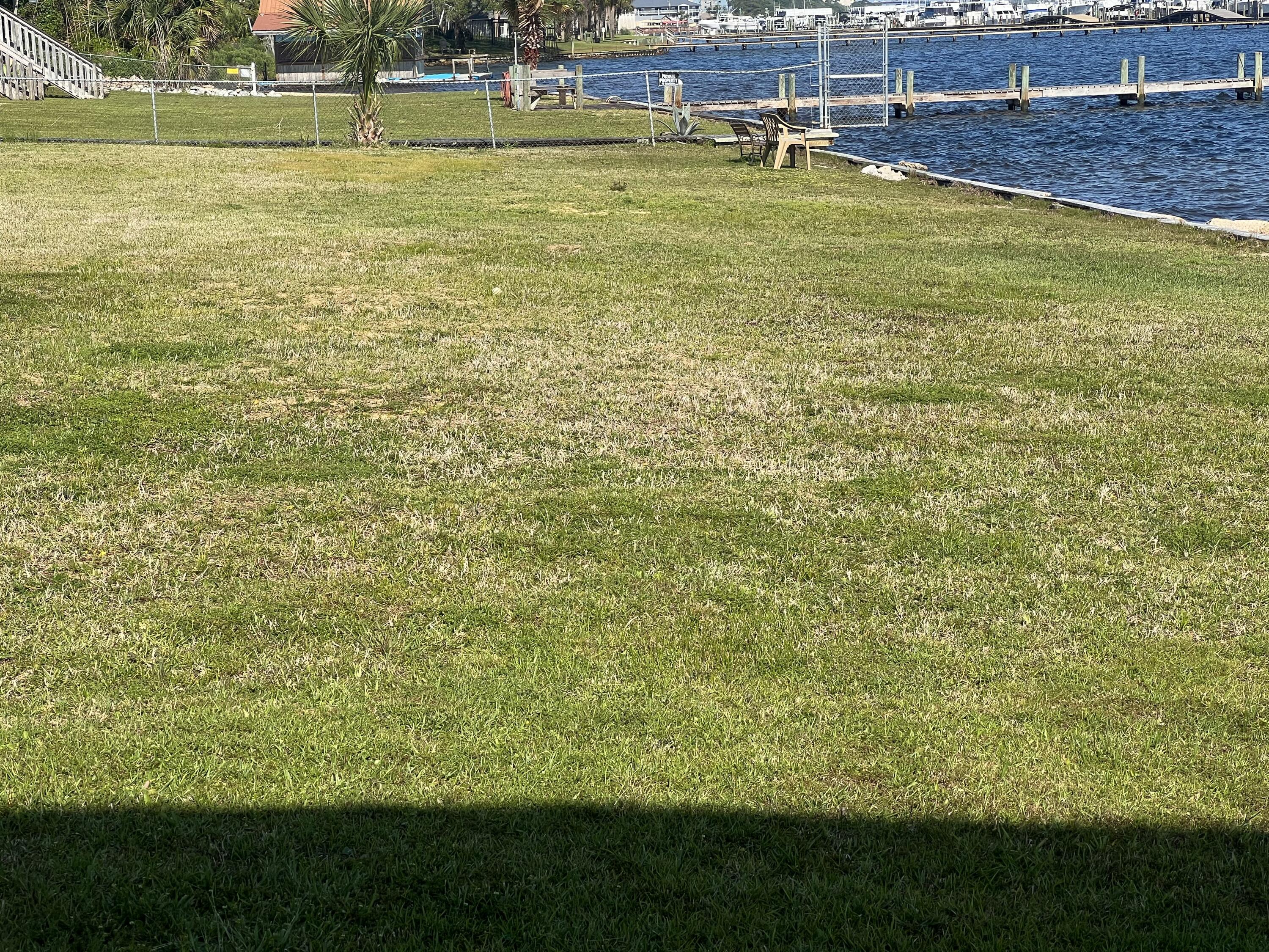 SEA PALM CONDO - Residential