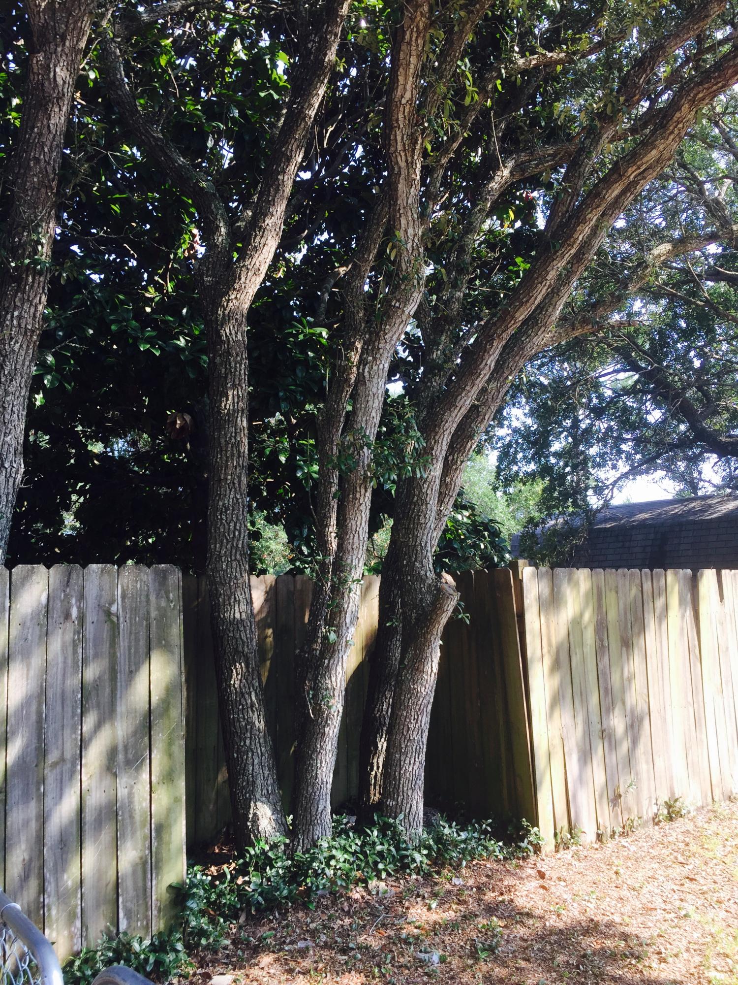 SEABREEZE 6TH ADDN - Residential