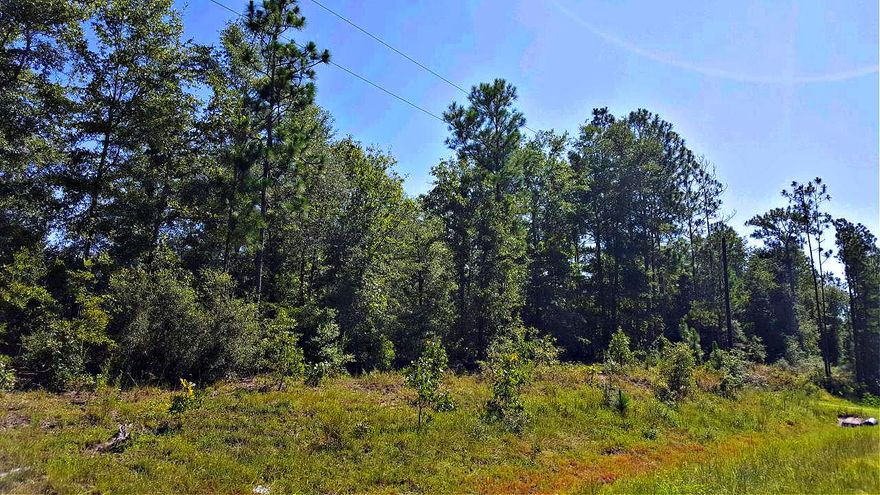This is the acreage you have been looking for! 9.5 acre wooded parcel perfect for your new homestead on a PAVED road! Build your dream home in these peaceful surroundings with large Oaks and Magnolias. Zoned Rural Residential. Call Listing agent for more info. All information to be verified by buyer.