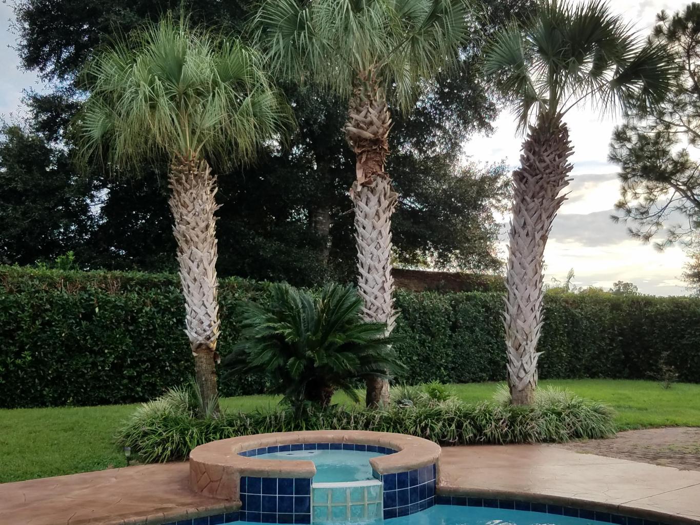 SILVER OAKS PH 1 - Residential Lease