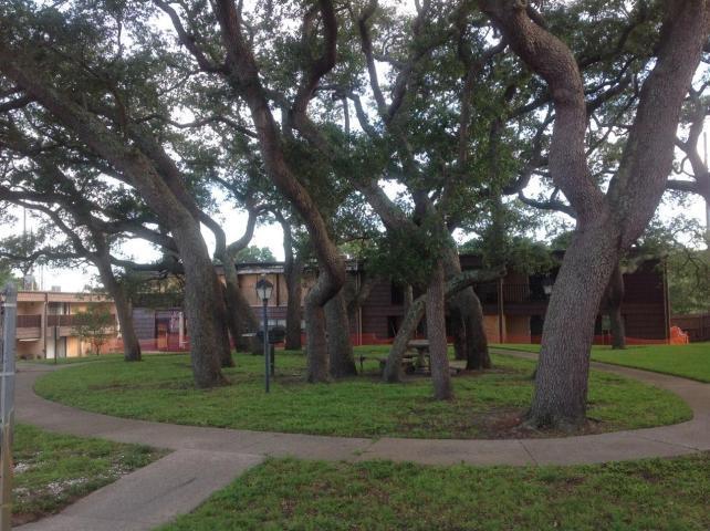 SPANISH VILLAS - Residential