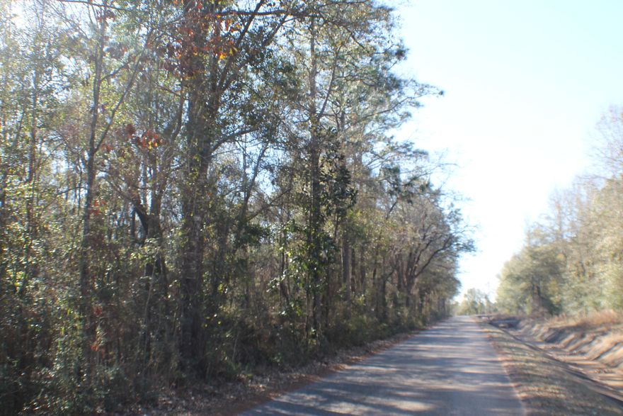 Big oak trees beautiful homsite's, paved Road Baker! Baker schools k-12! Bring your horses, cows, chickens, tractor and house plans! don't forget the deer feeder watch the abundant wildlife! agricultural area near Sky Ranch AirPark,and Blackwater Forrest ! Large estate homes near by! Come home to Holloway Rd today!