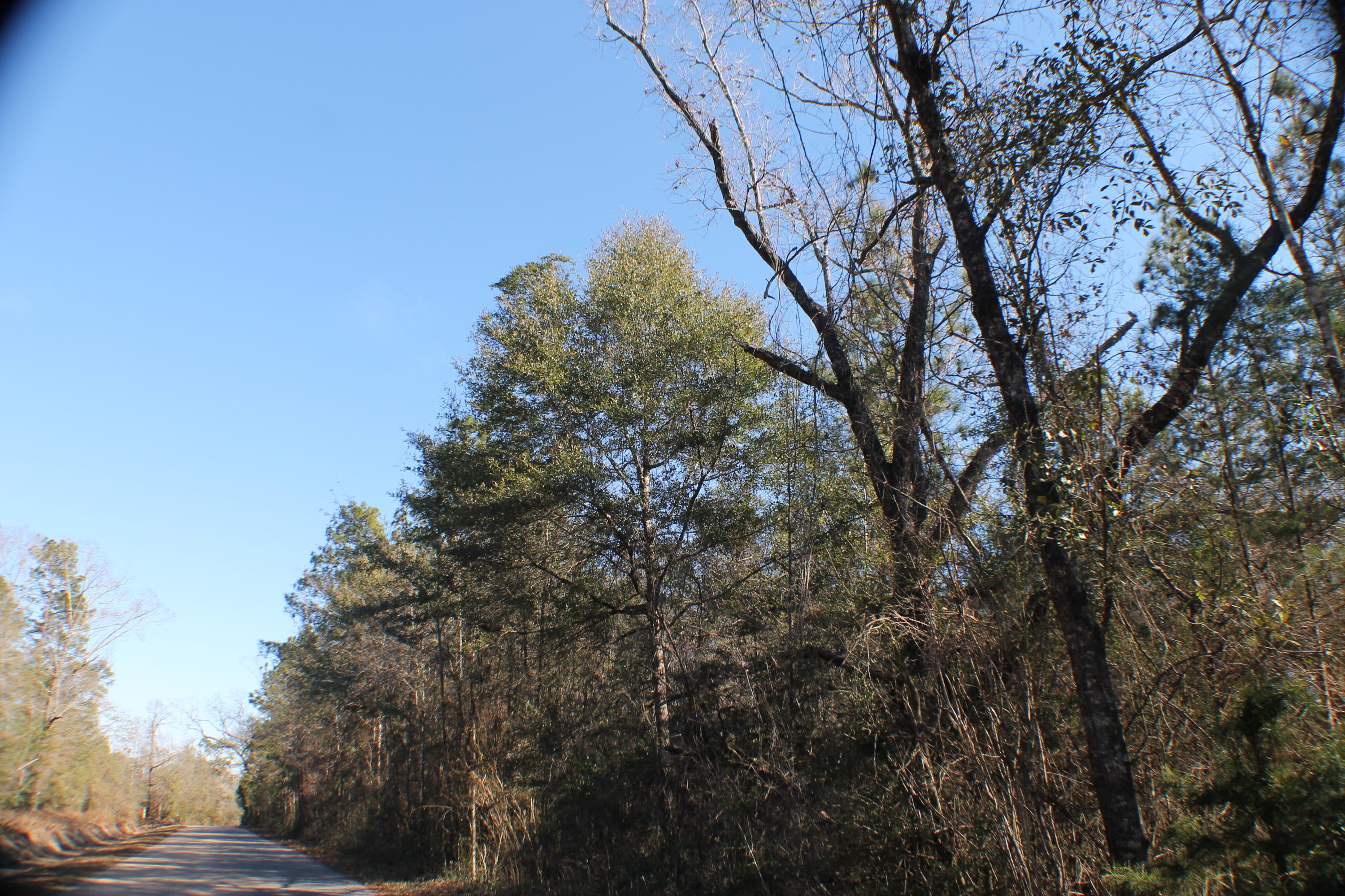 Metes and Bounds - Land