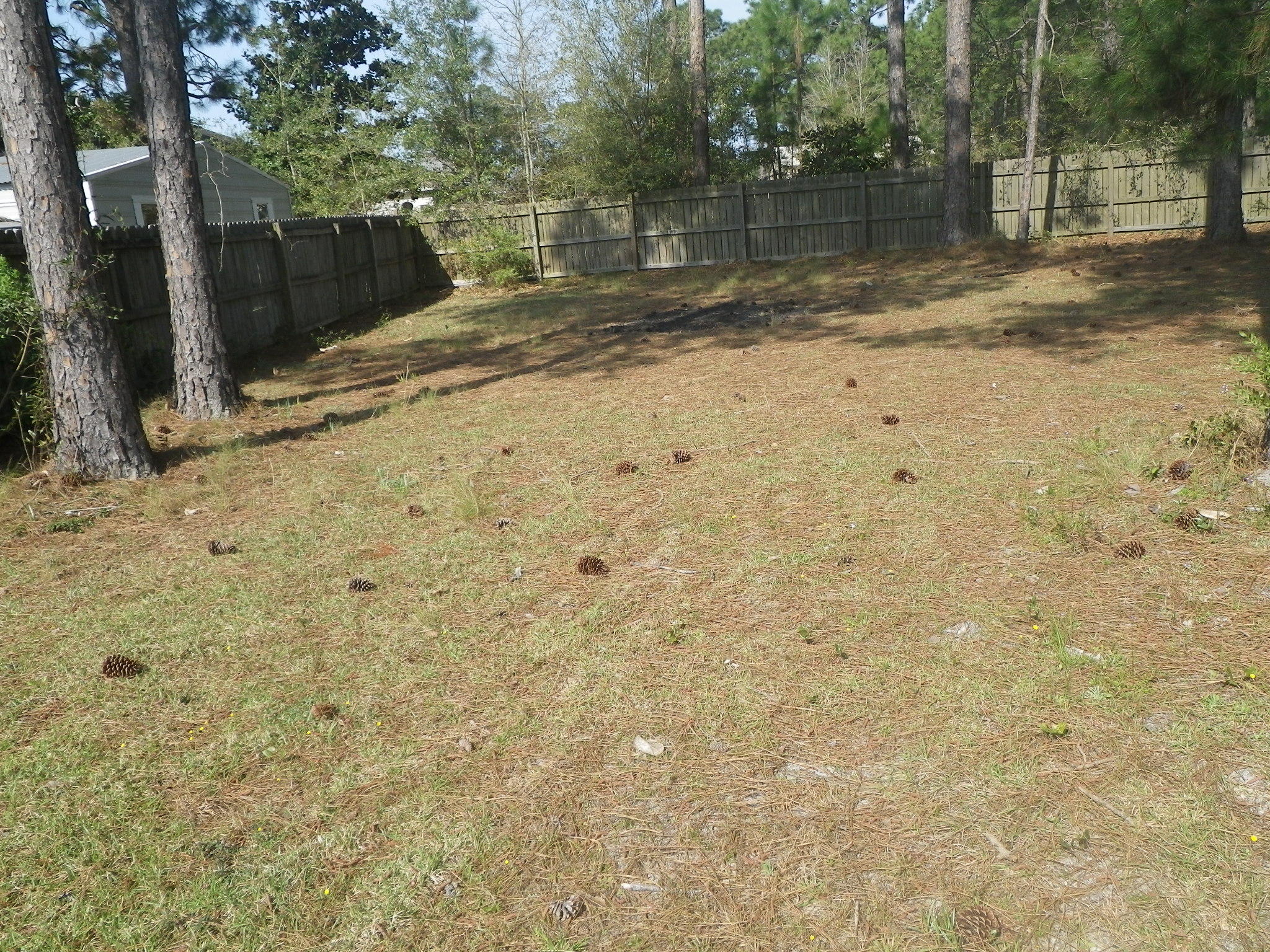 Navarre 2nd Addition - Residential