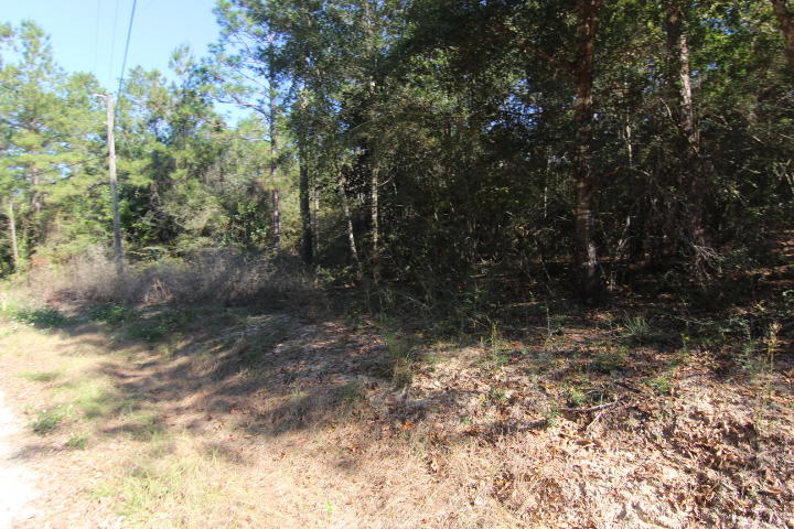 SPRING LAKE ESTATES - Land