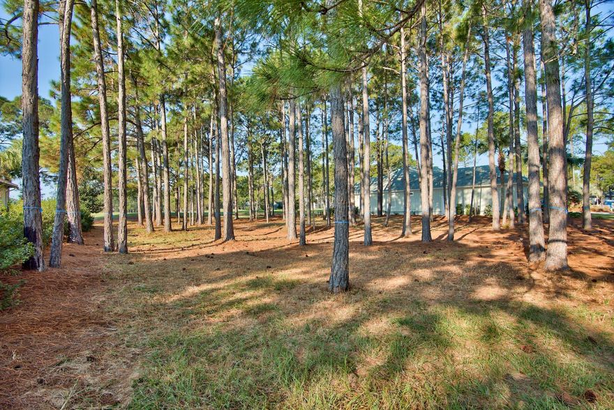 This is one of my very favorite homesites in all of Sandestin. Why? Because it has one of the most AMAZING views you could ask for of the Raven Golf Course. If you want to build your custom home in a warm & friendly neighborhood and enjoy all that the Sandestin lifestyle offers, then you have found the right place! Island Green is a non-rental neighborhood comprised of only 52 homes/homesites with mostly full-time residents. This is an easy level homesite to build on and will accommodate either one or two-story home. Another perk is that you will be able to see the fireworks from Baytowne from the back of your new home here!