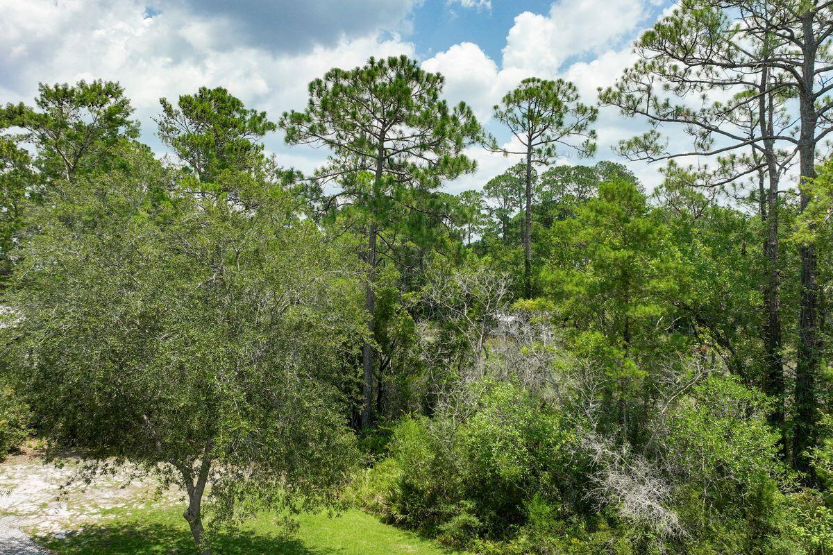 MAGNOLIA BEACH - Land