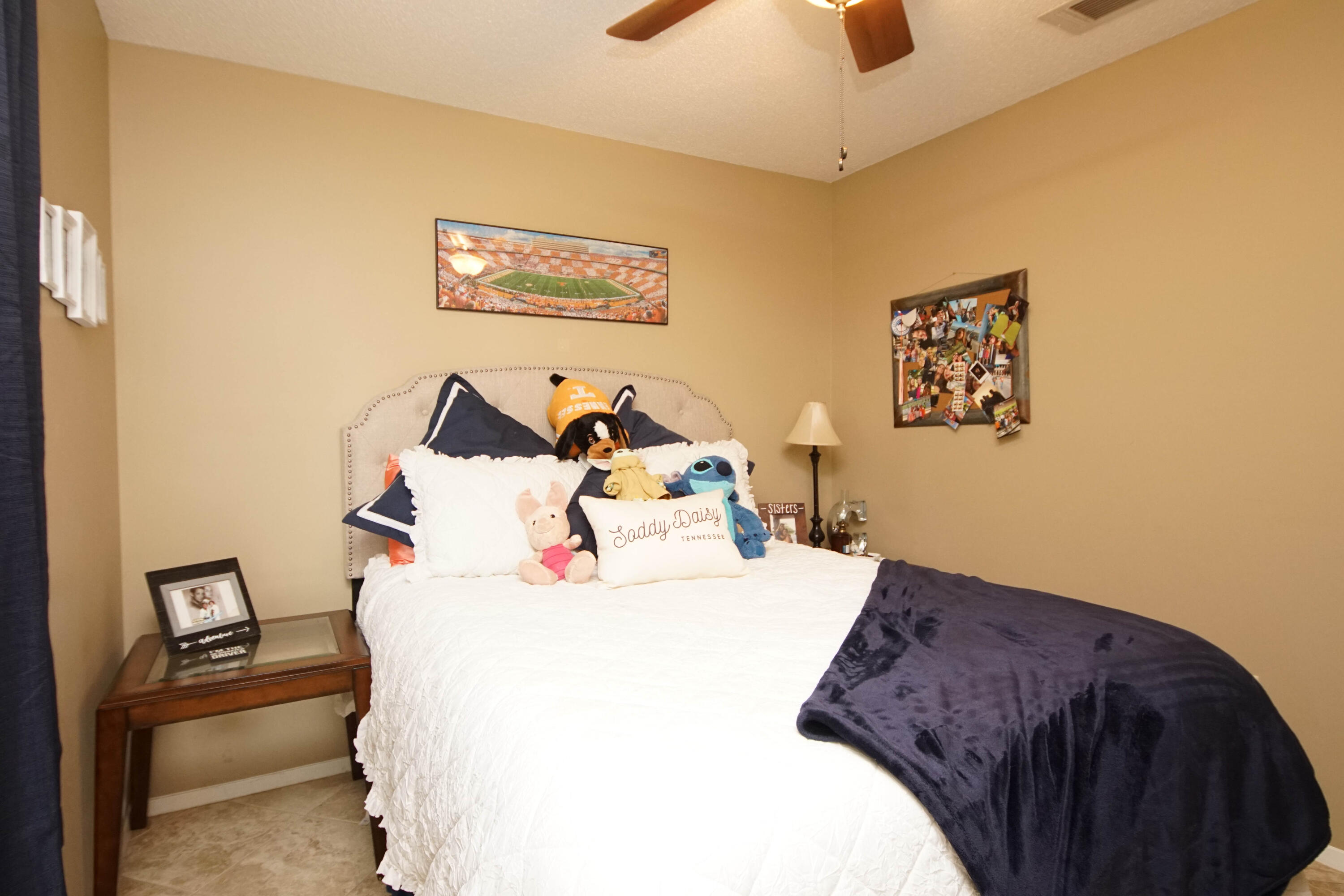 BLUE PINE VILLAGE PH 1 - Residential