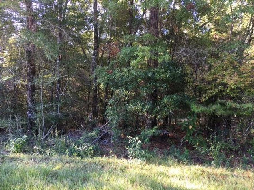 4 acres of wooded land on Rock Hill Rd.