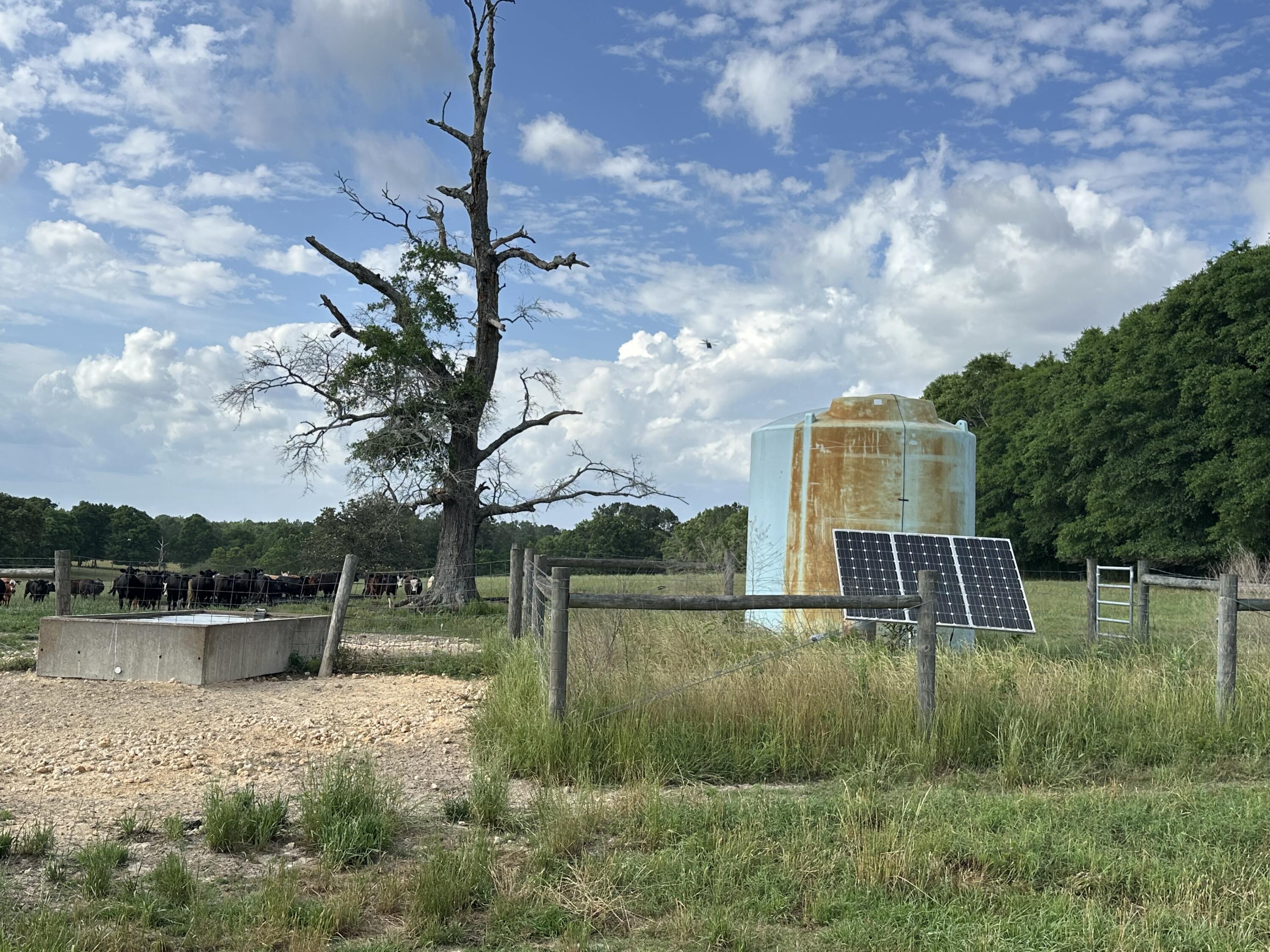 261.6 ac Millside Road +/-