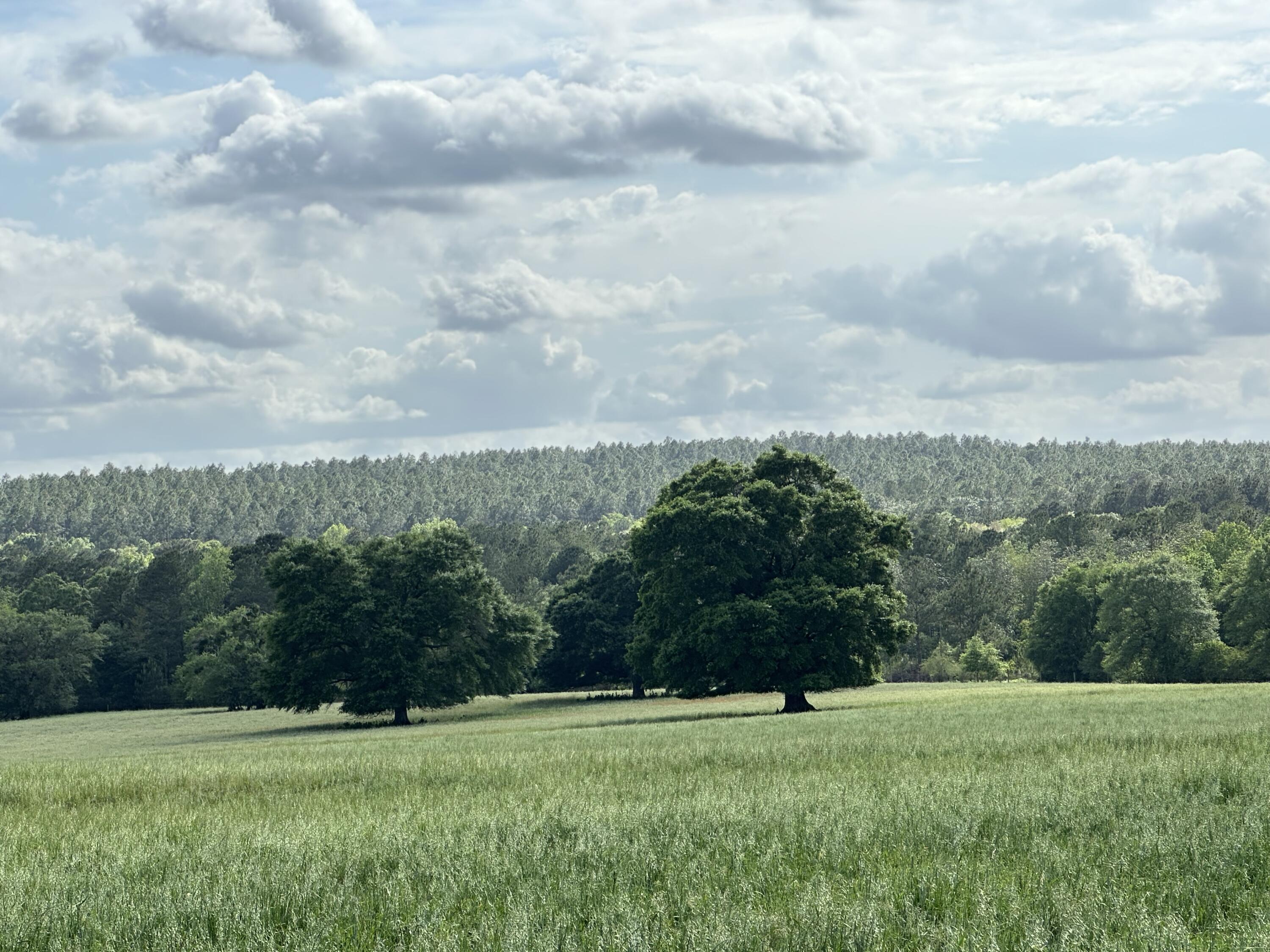 261.6 ac Millside Road +/-