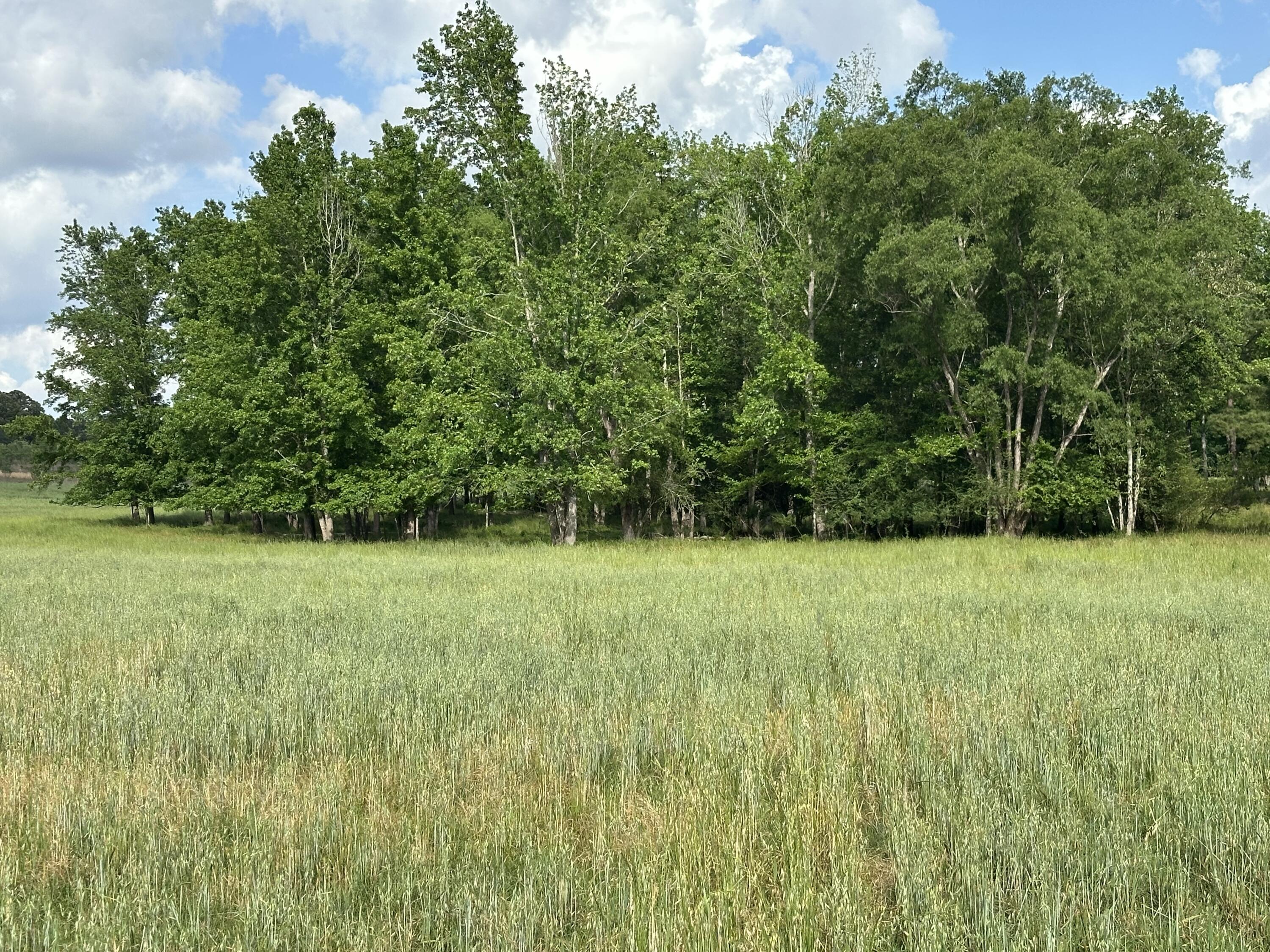 Metes and Bounds - Land