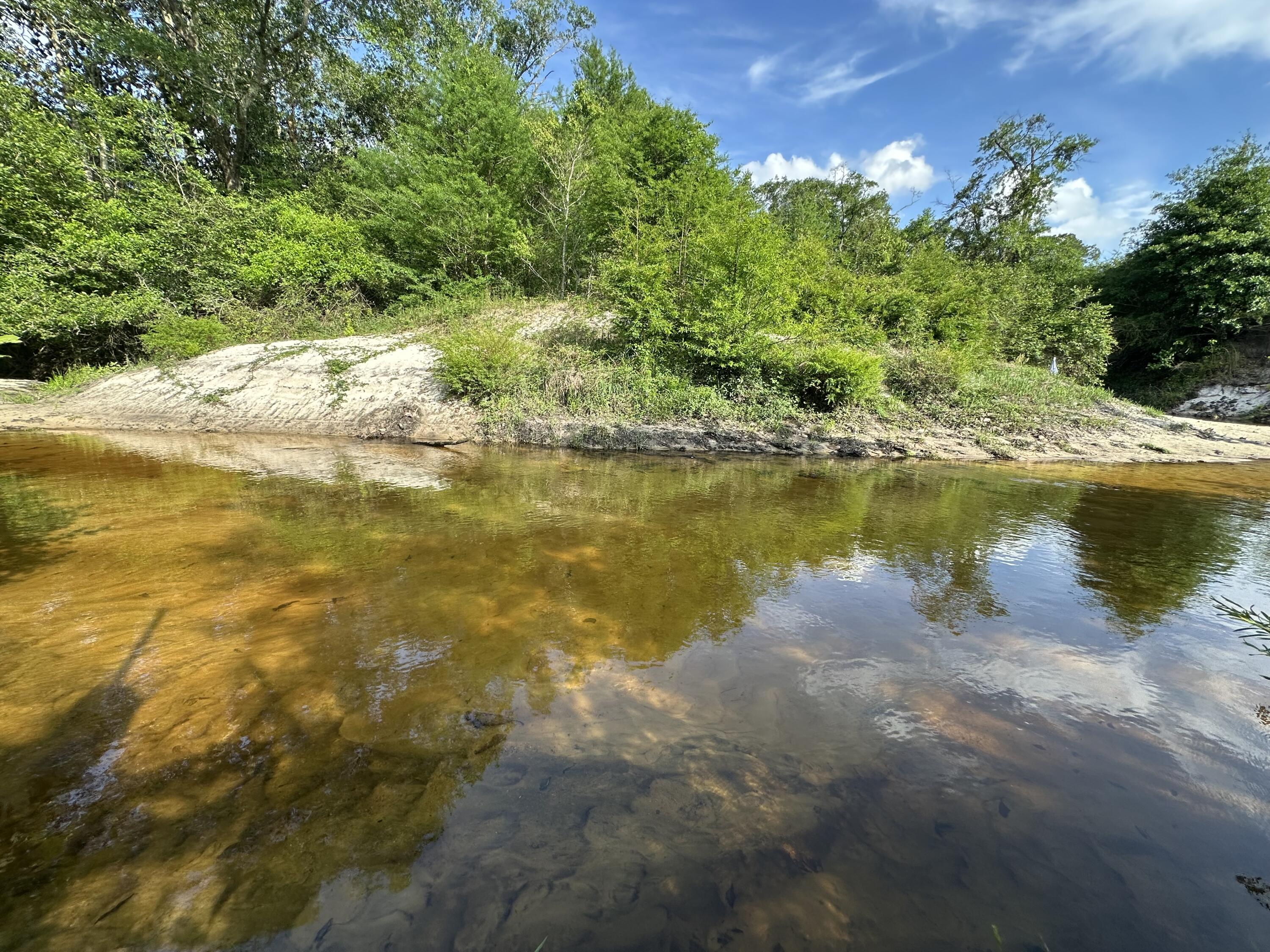 261.6 ac Millside Road +/-